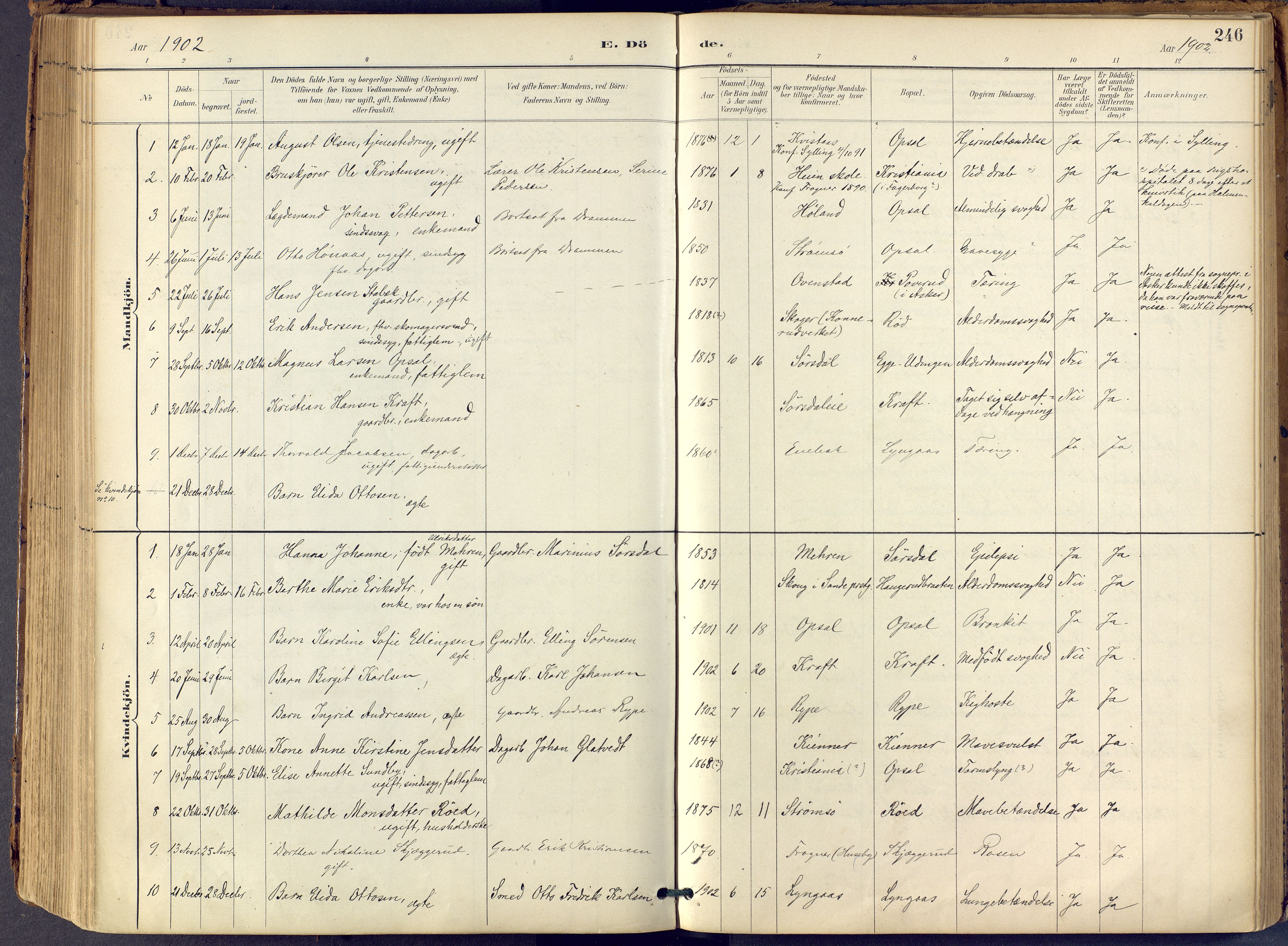 Lier kirkebøker, SAKO/A-230/F/Fb/L0001: Parish register (official) no. II 1, 1883-1910, p. 246
