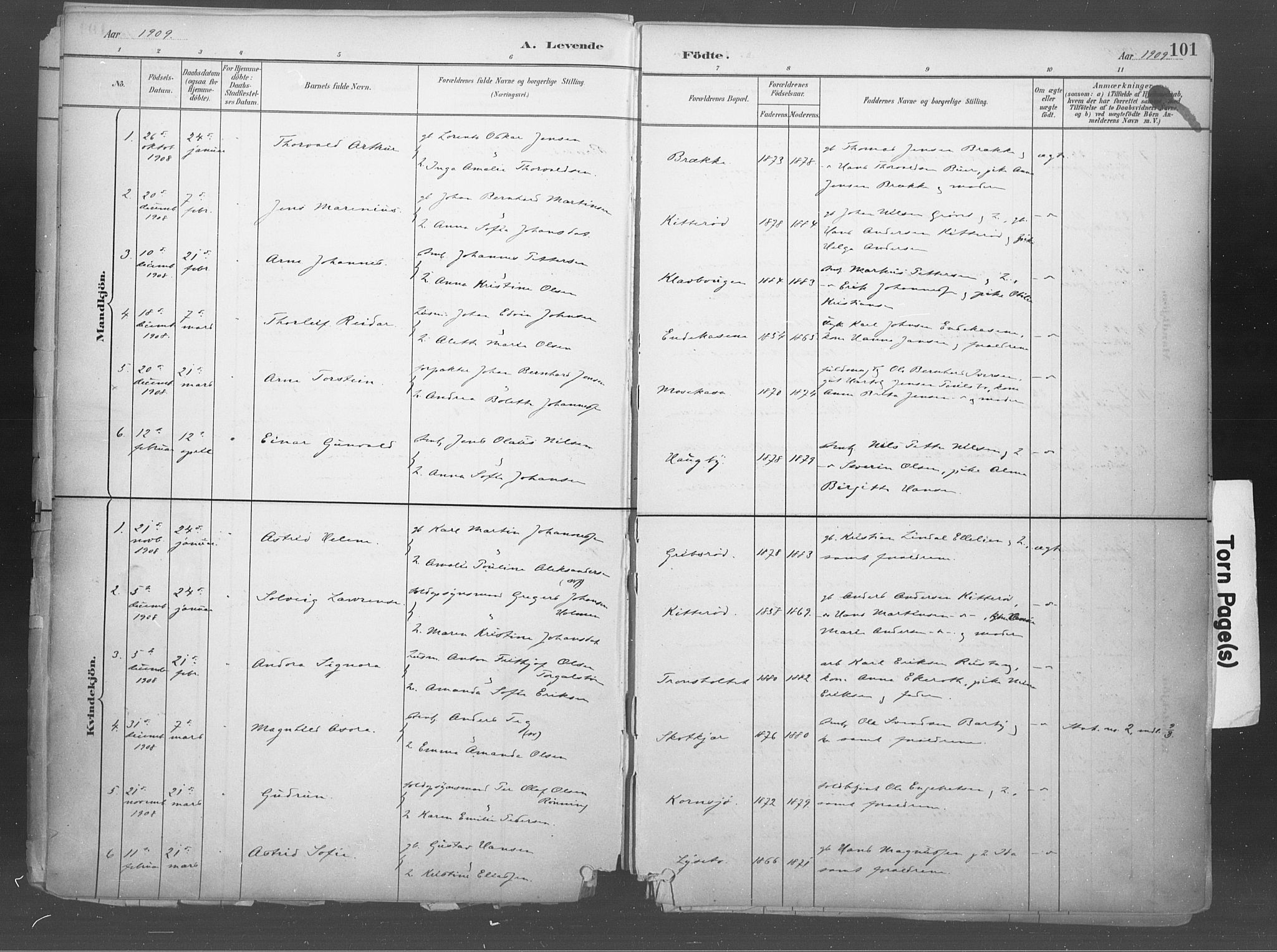 Idd prestekontor Kirkebøker, SAO/A-10911/F/Fb/L0002: Parish register (official) no. II 2, 1882-1923, p. 101