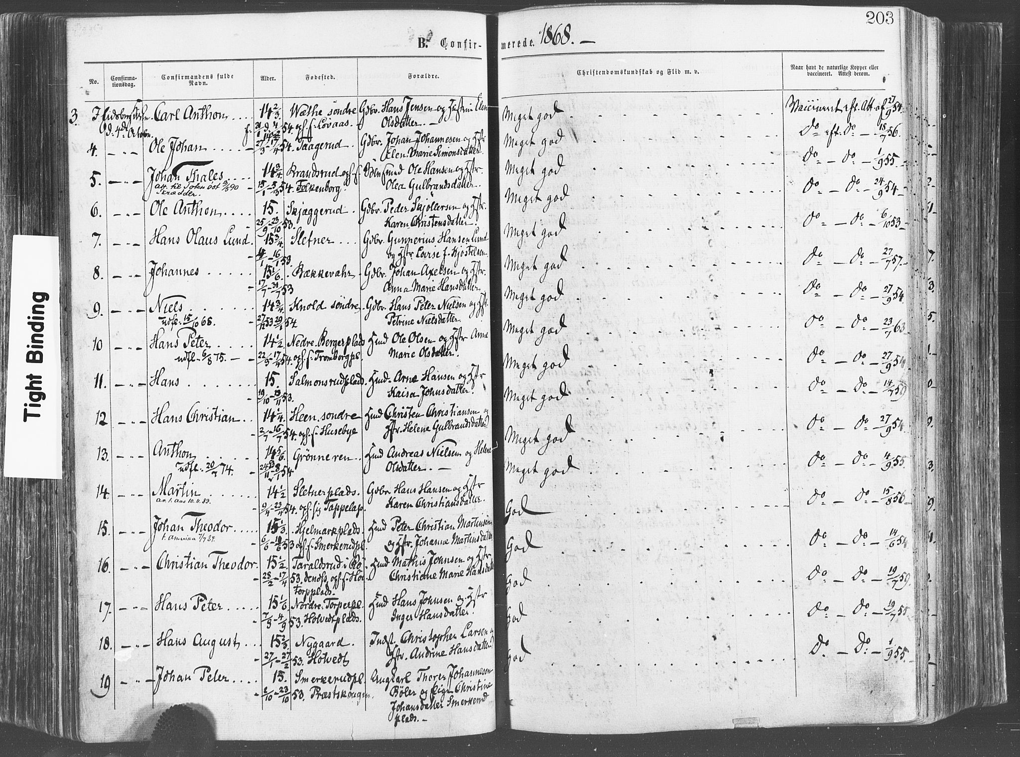 Eidsberg prestekontor Kirkebøker, SAO/A-10905/F/Fa/L0011: Parish register (official) no. I 11, 1867-1878, p. 203