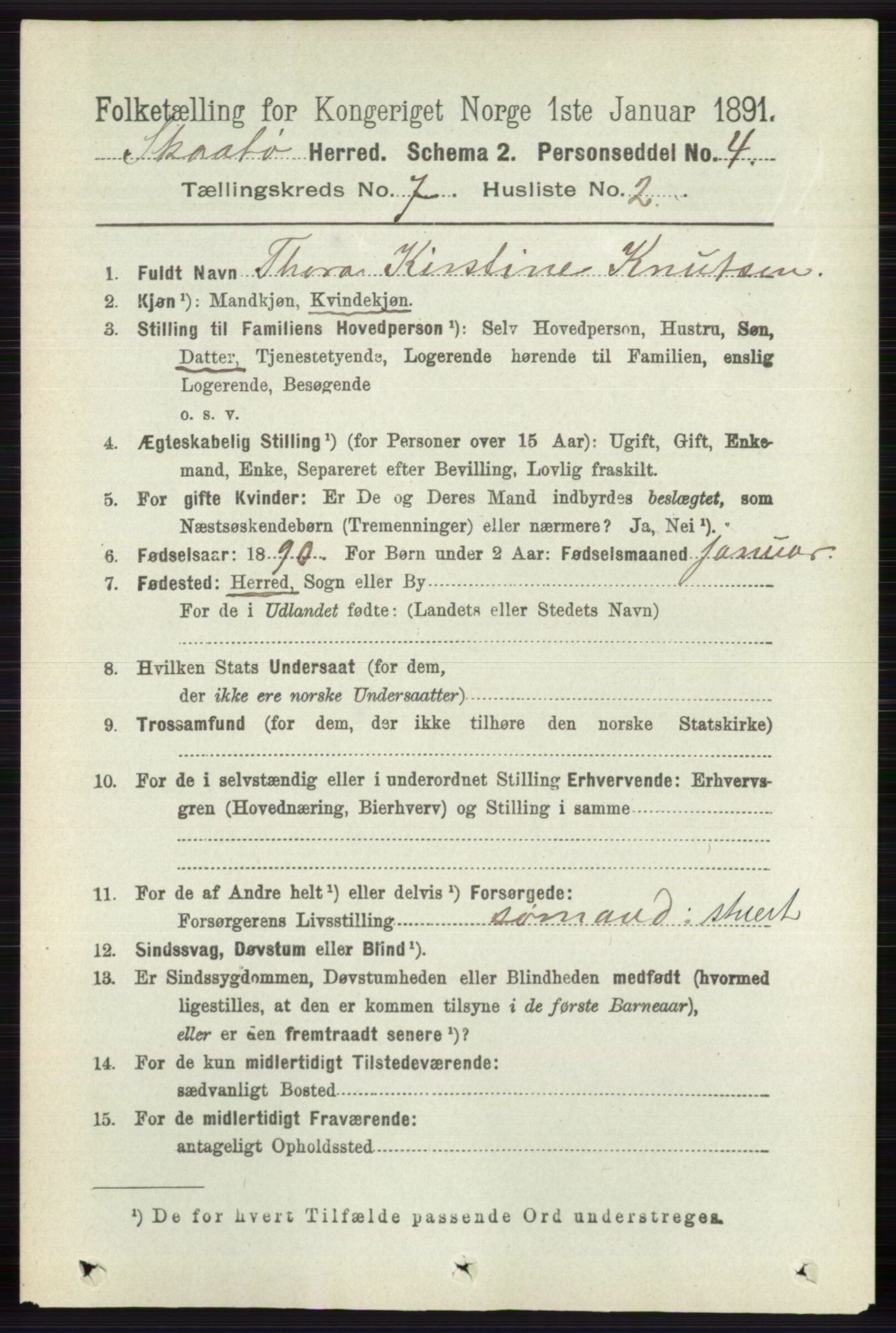 RA, 1891 census for 0815 Skåtøy, 1891, p. 3084