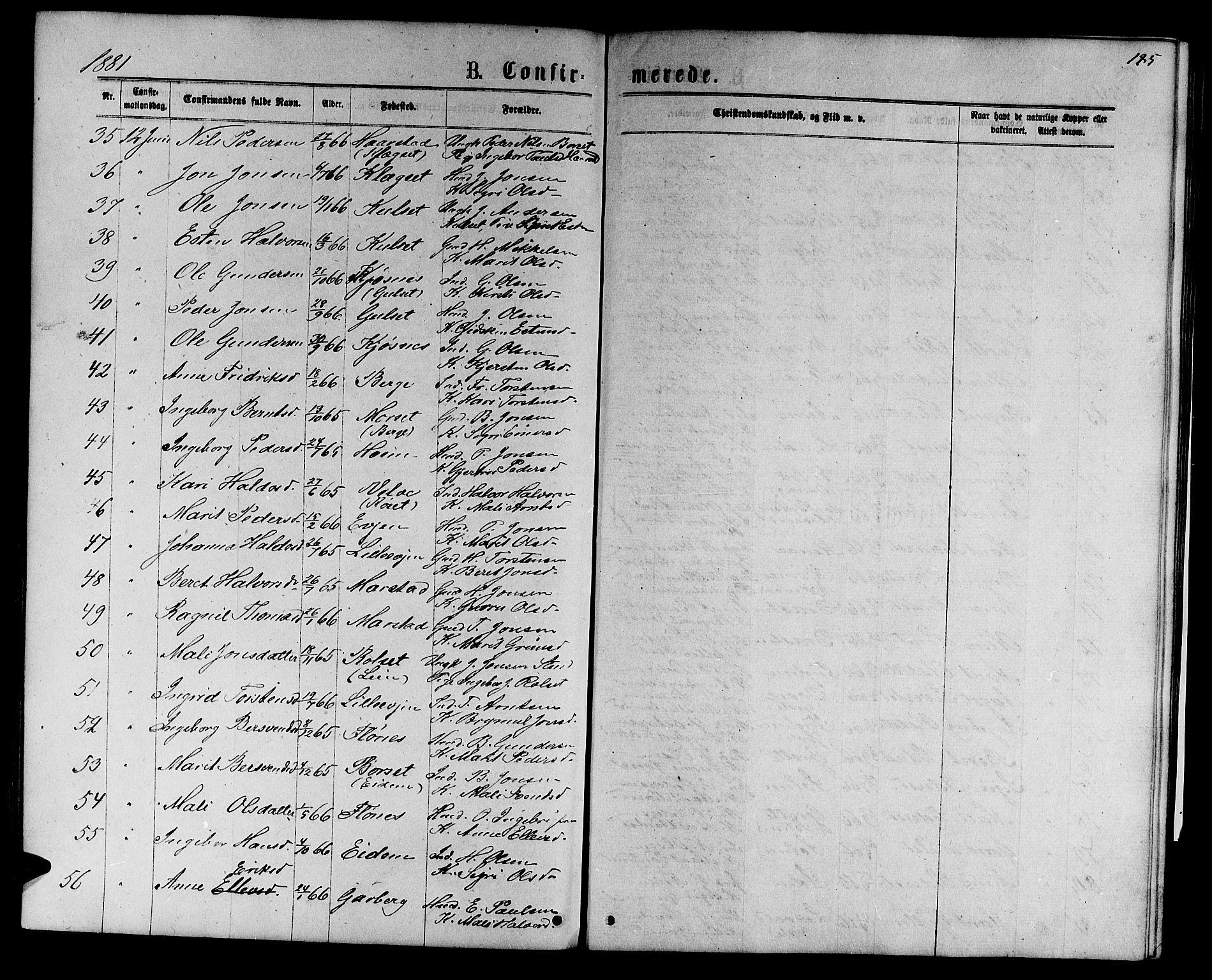 Ministerialprotokoller, klokkerbøker og fødselsregistre - Sør-Trøndelag, AV/SAT-A-1456/695/L1156: Parish register (copy) no. 695C07, 1869-1888, p. 185