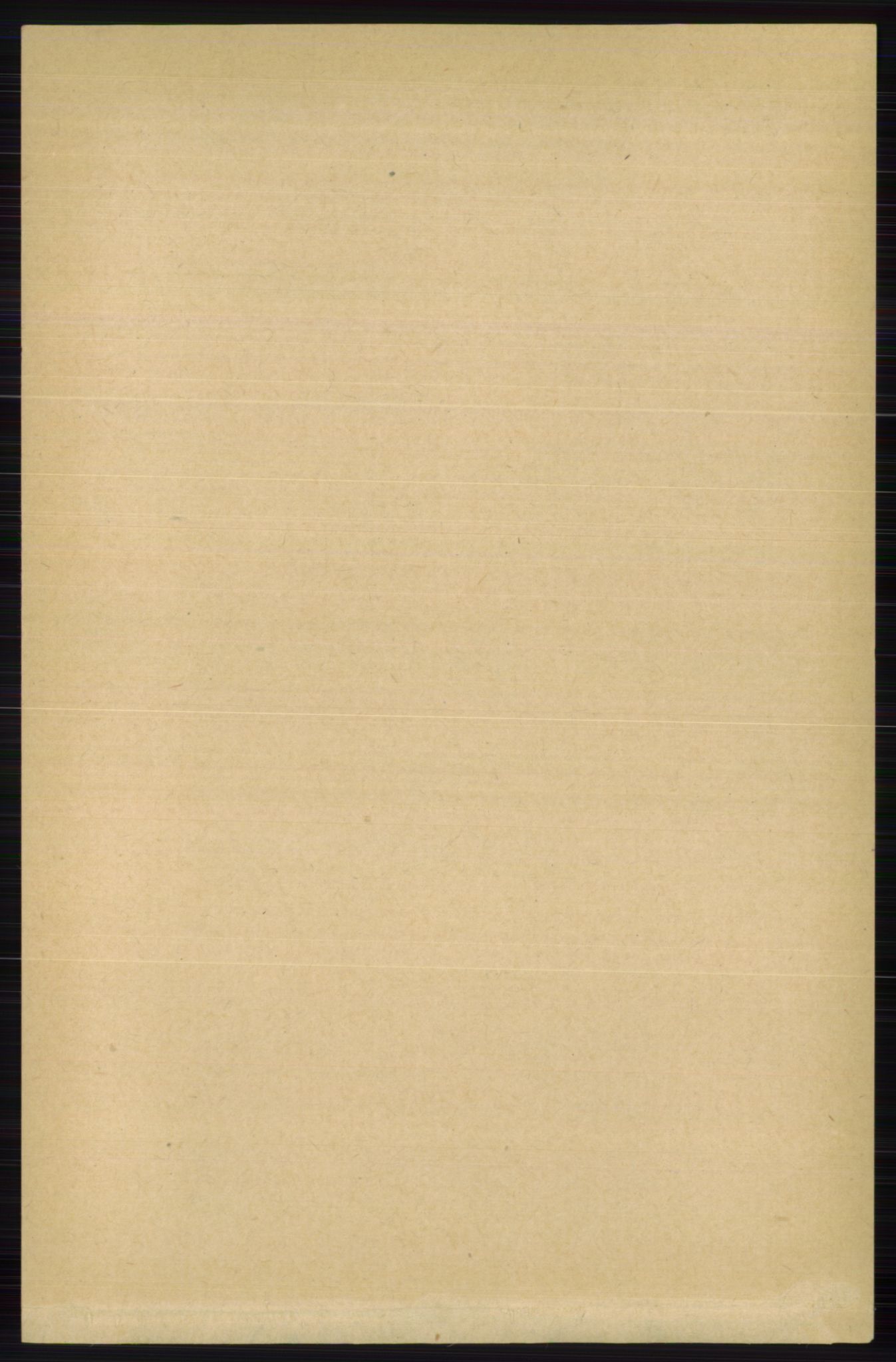 RA, 1891 census for 0631 Flesberg, 1891, p. 1365