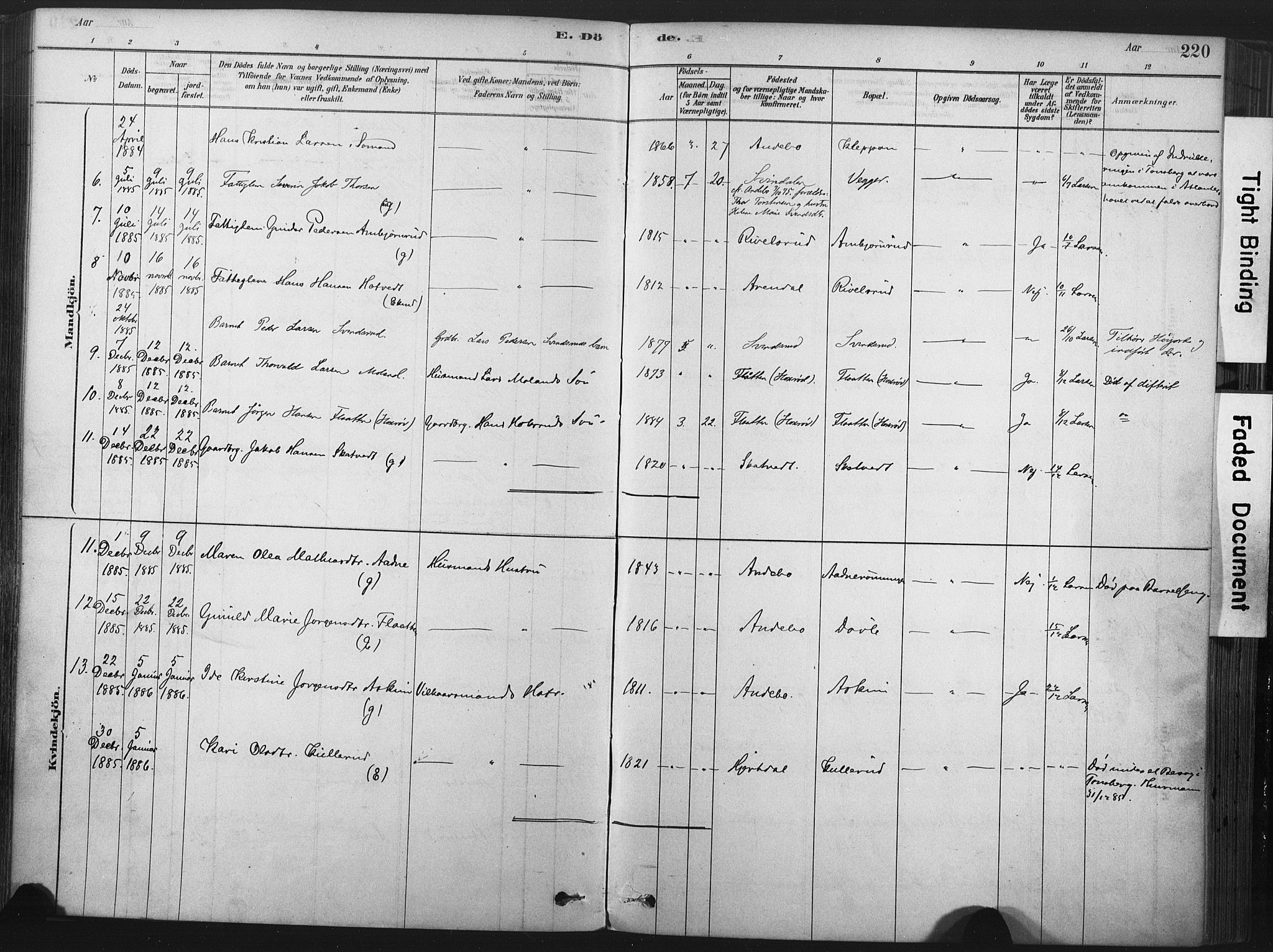 Andebu kirkebøker, AV/SAKO-A-336/F/Fa/L0007: Parish register (official) no. 7, 1878-1899, p. 220