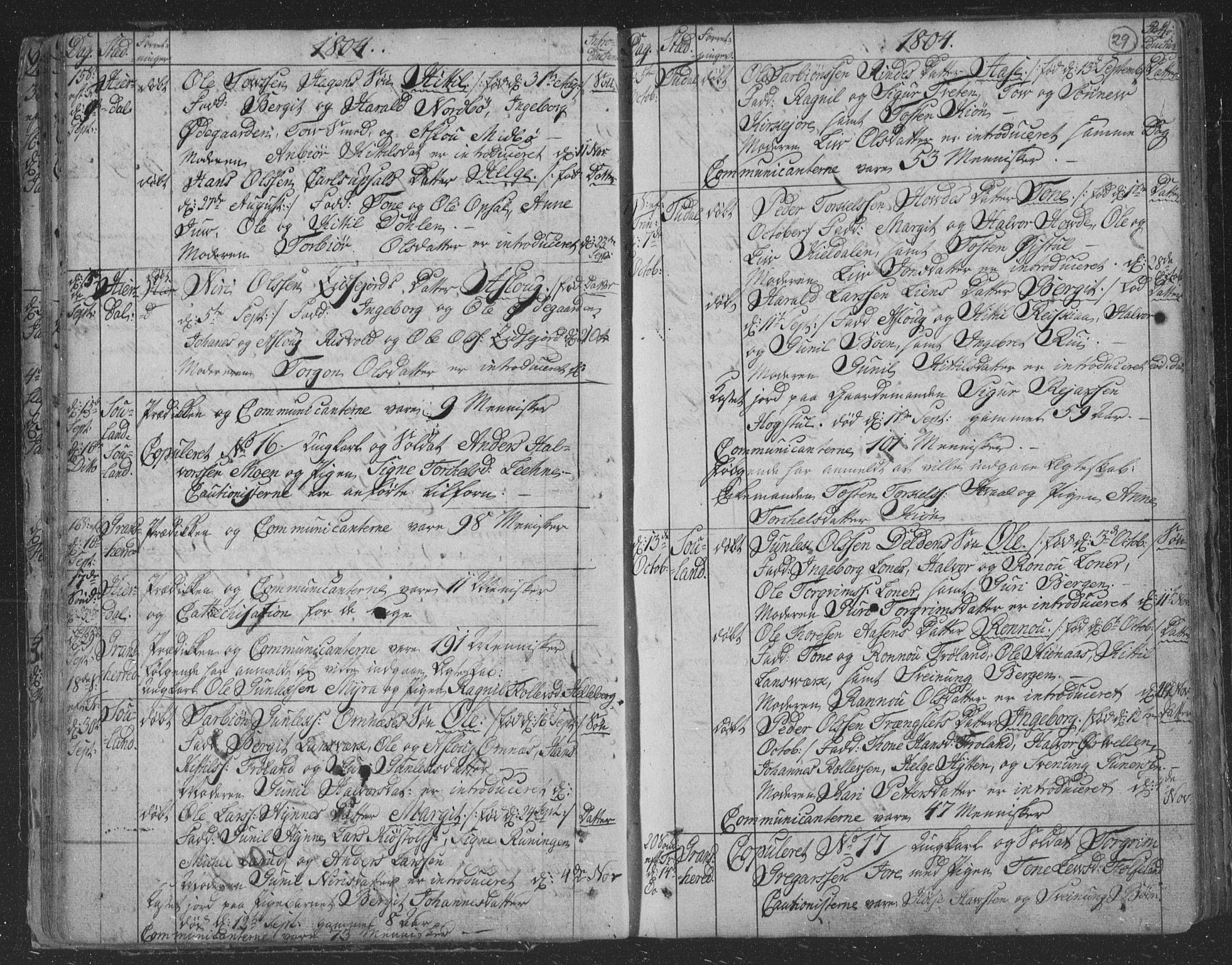 Hjartdal kirkebøker, AV/SAKO-A-270/F/Fa/L0006: Parish register (official) no. I 6, 1801-1814, p. 29