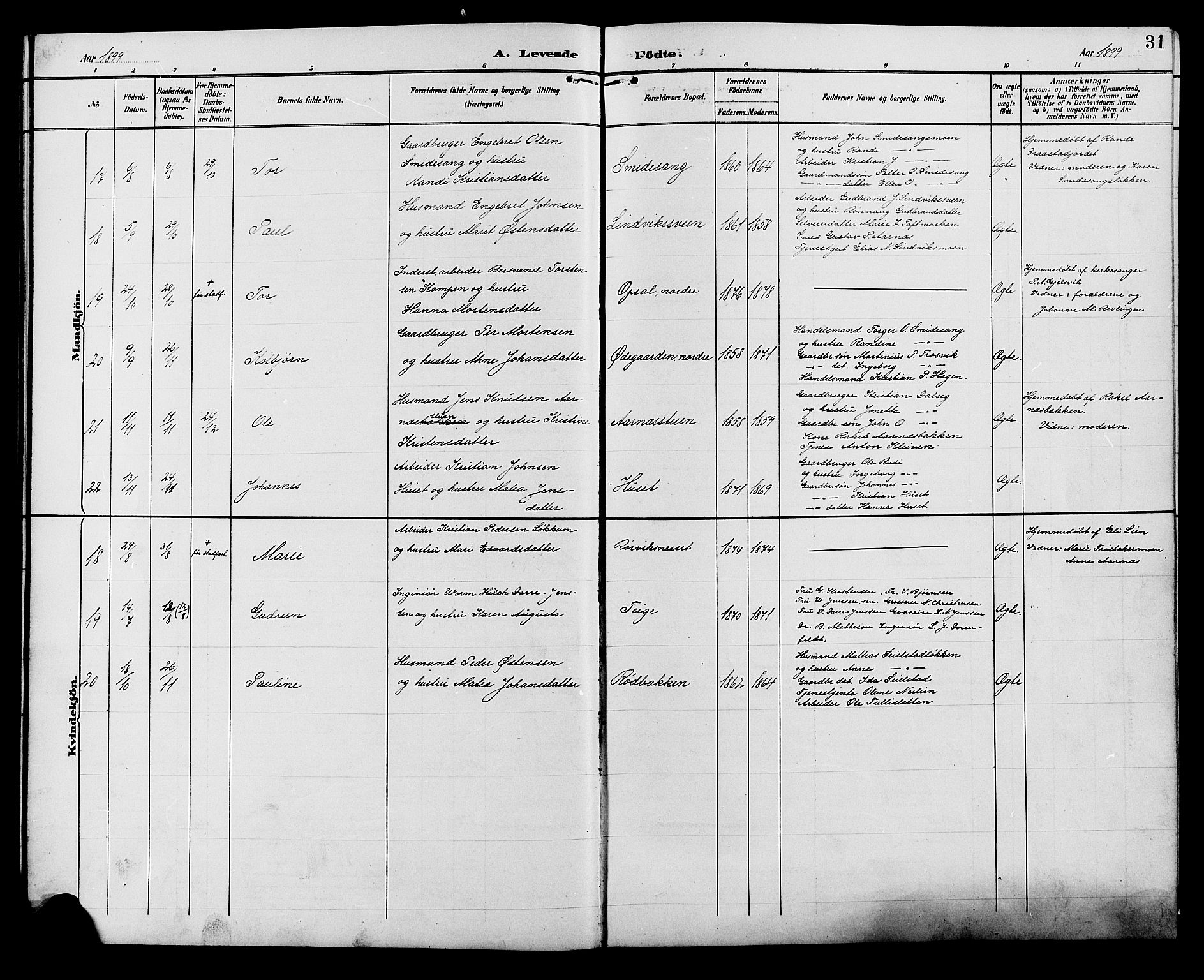 Ringebu prestekontor, SAH/PREST-082/H/Ha/Hab/L0007: Parish register (copy) no. 7, 1890-1910, p. 31