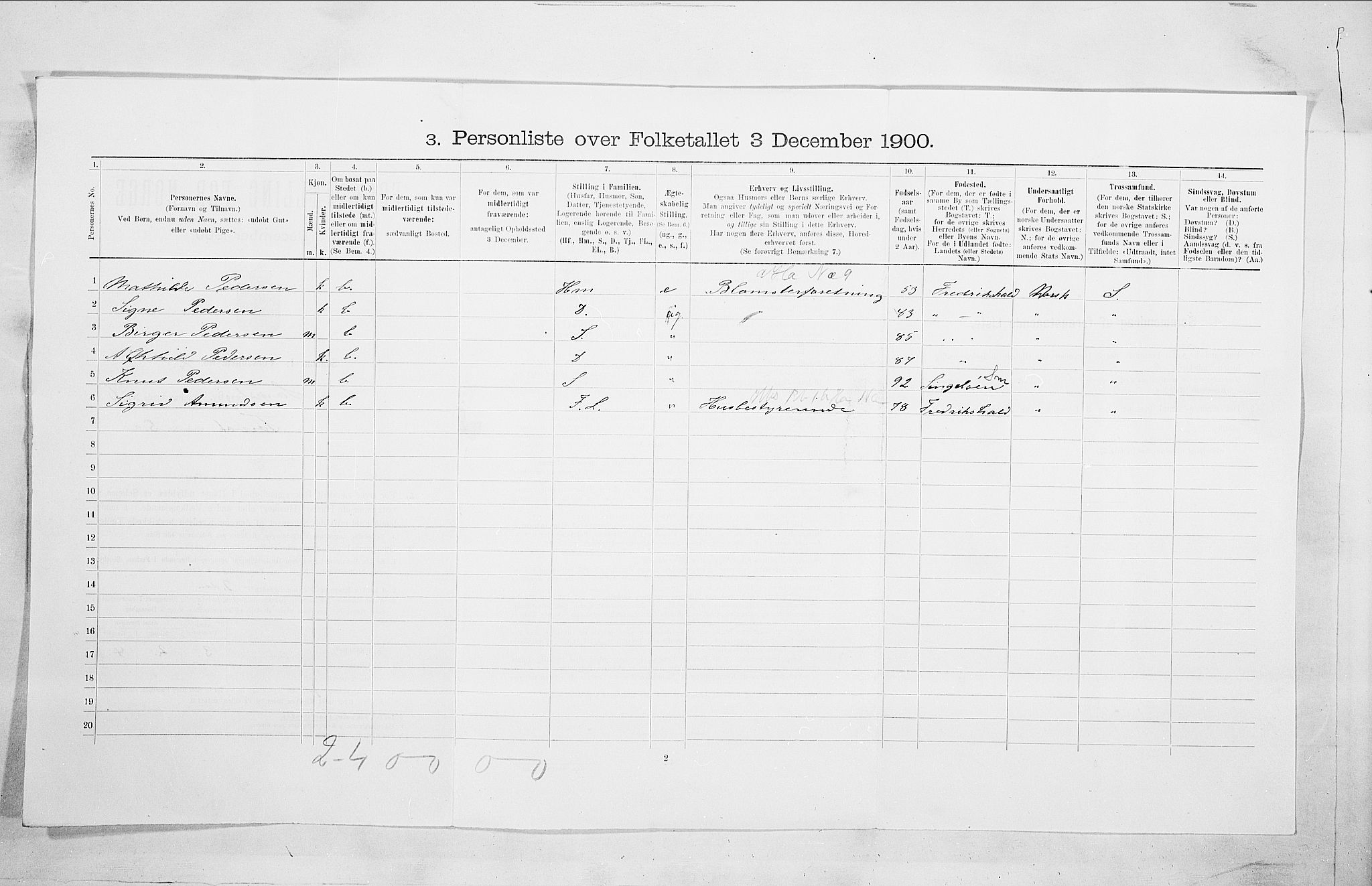 SAO, 1900 census for Sarpsborg, 1900