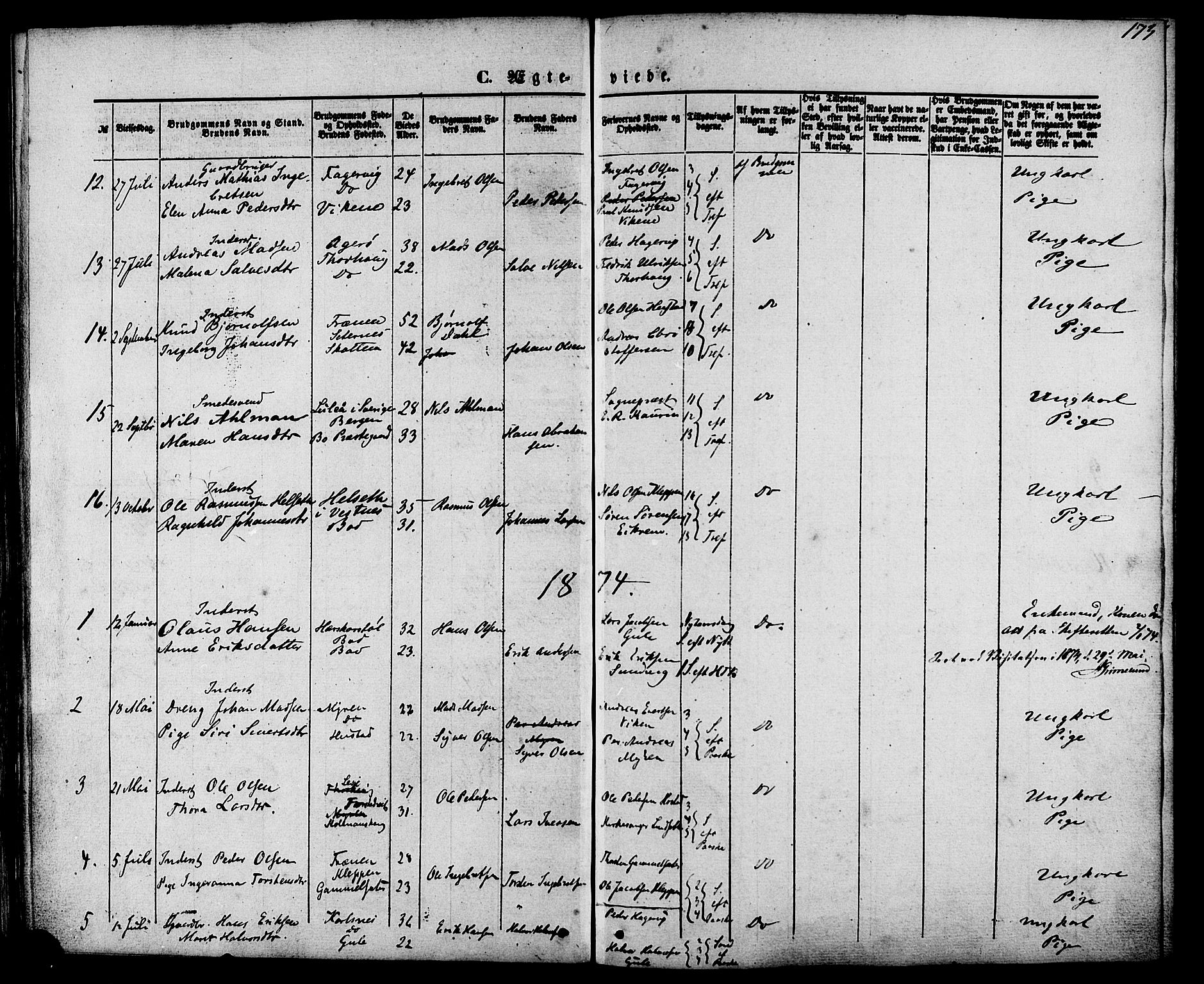 Ministerialprotokoller, klokkerbøker og fødselsregistre - Møre og Romsdal, AV/SAT-A-1454/566/L0768: Parish register (official) no. 566A07, 1869-1881, p. 173