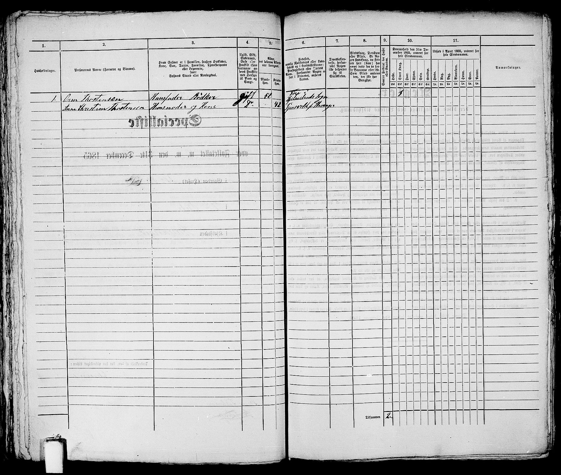 RA, 1865 census for Stavanger, 1865, p. 1192