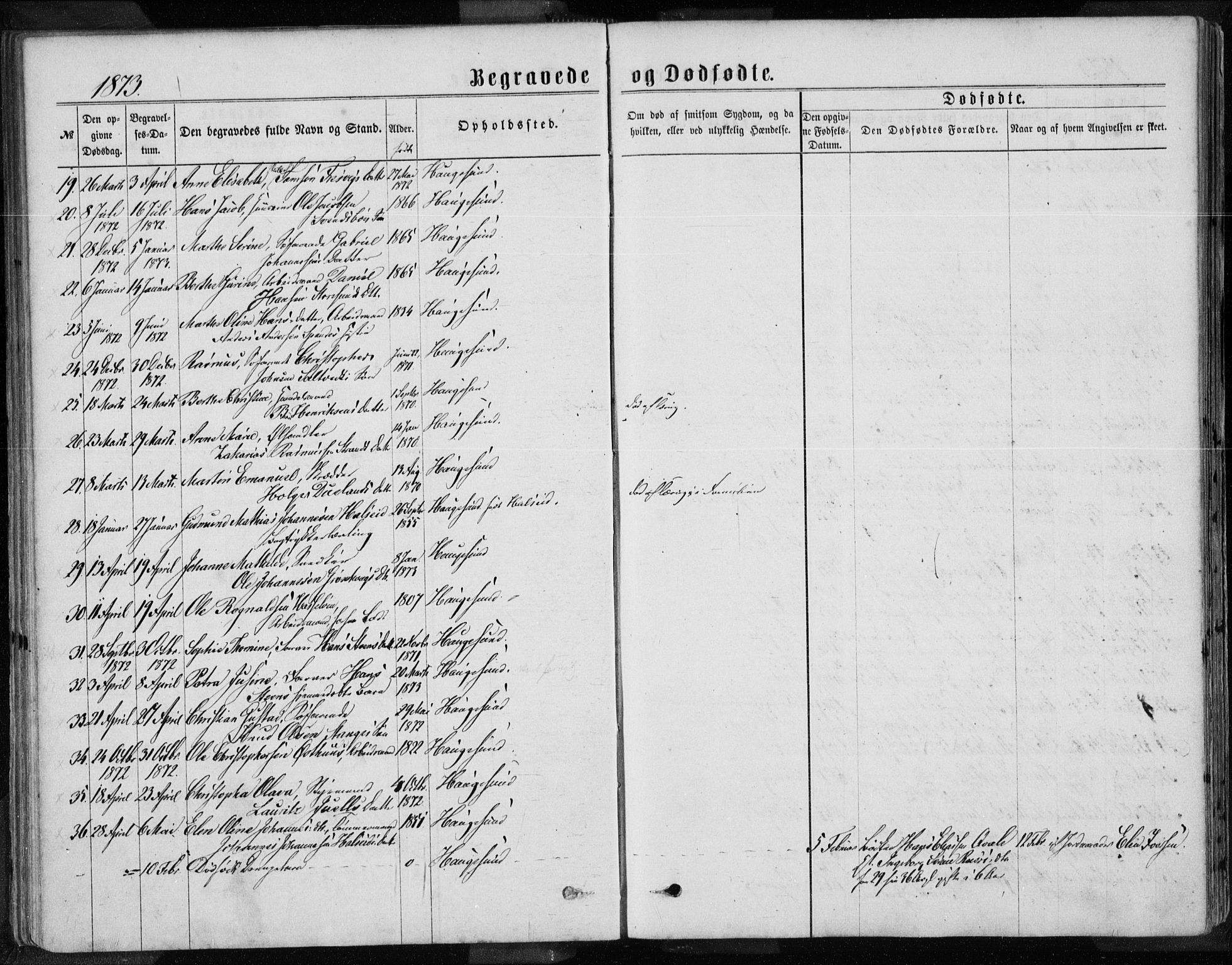 Torvastad sokneprestkontor, AV/SAST-A -101857/H/Ha/Haa/L0013: Parish register (official) no. A 12.2, 1867-1877