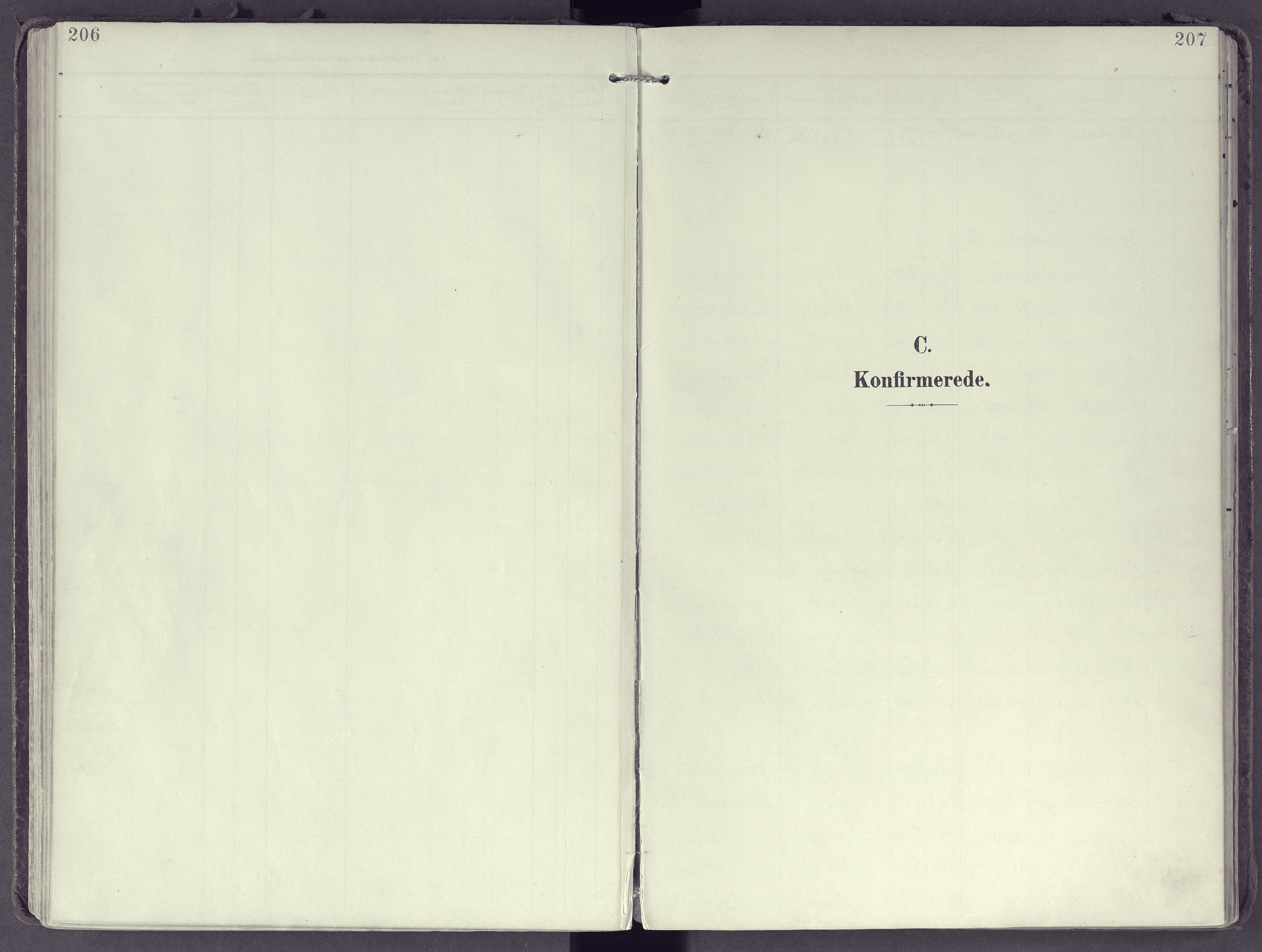 Larvik kirkebøker, SAKO/A-352/F/Fb/L0005: Parish register (official) no. II 5, 1903-1925, p. 206-207
