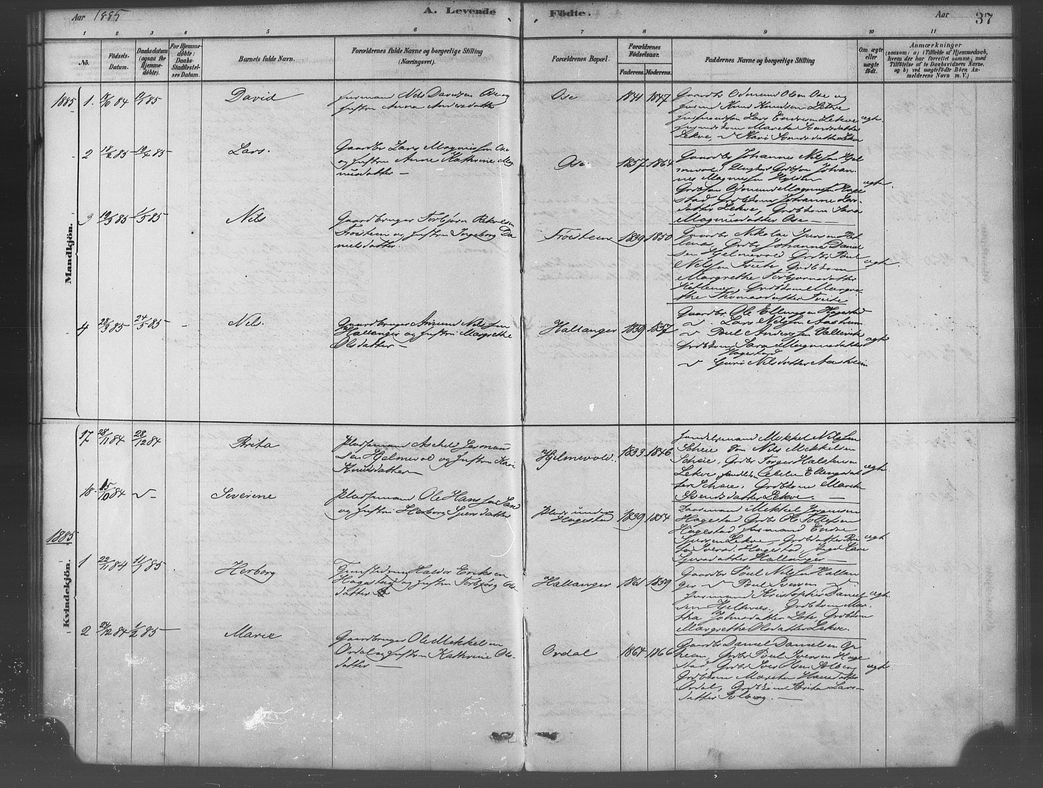 Ulvik sokneprestembete, SAB/A-78801/H/Haa: Parish register (official) no. B 1, 1878-1897, p. 37