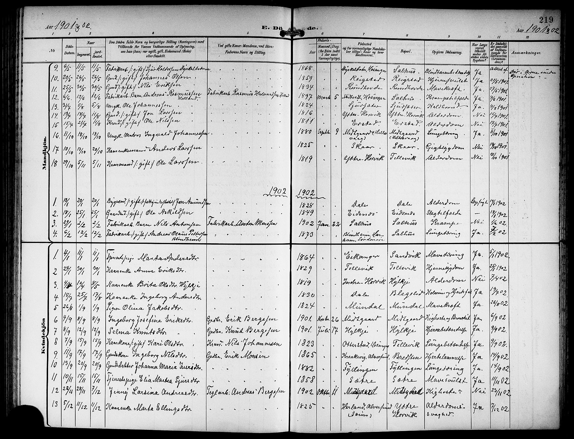Hamre sokneprestembete, SAB/A-75501/H/Ha/Hab: Parish register (copy) no. B 4, 1898-1919, p. 219