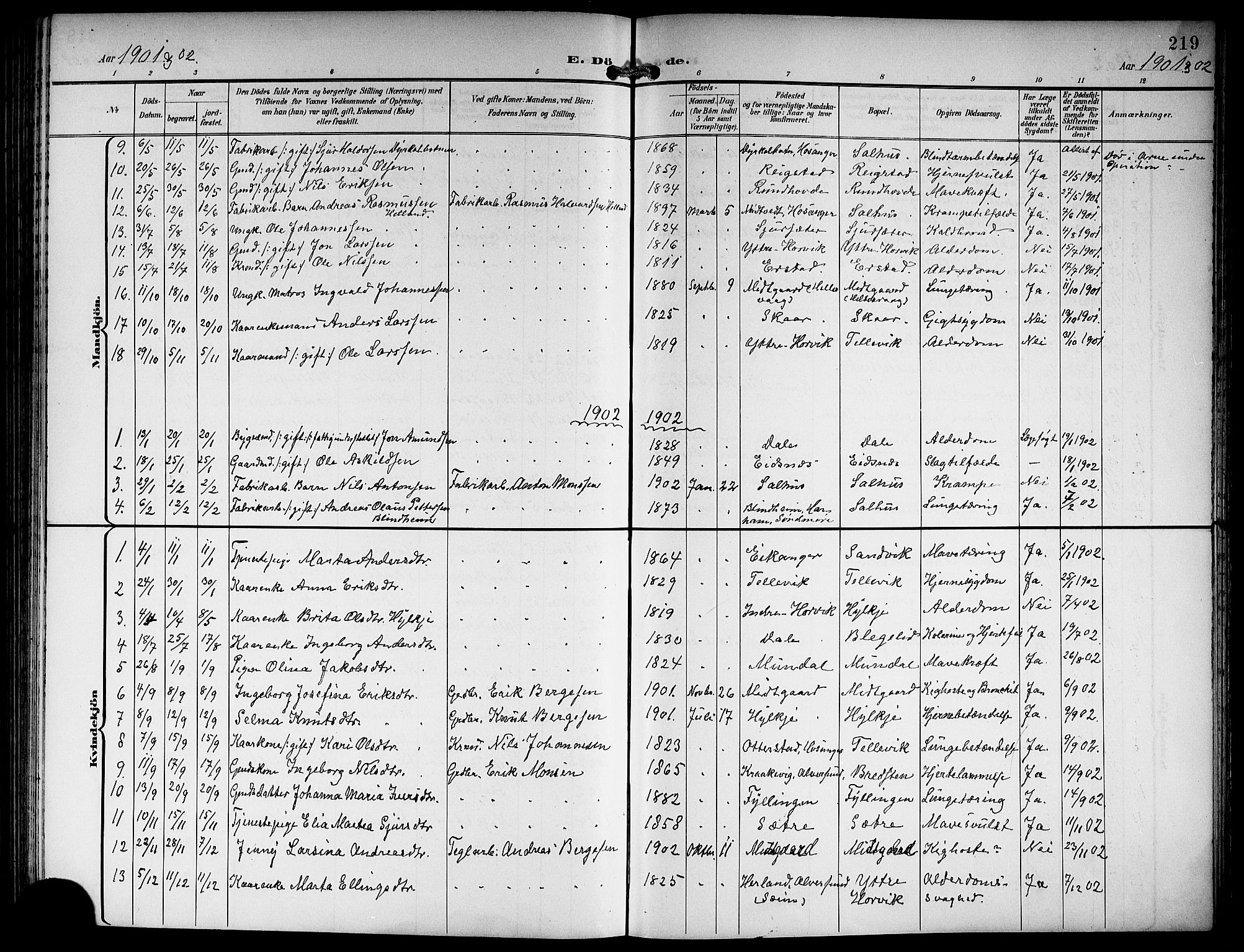 Hamre sokneprestembete, AV/SAB-A-75501/H/Ha/Hab: Parish register (copy) no. B 4, 1898-1919, p. 219