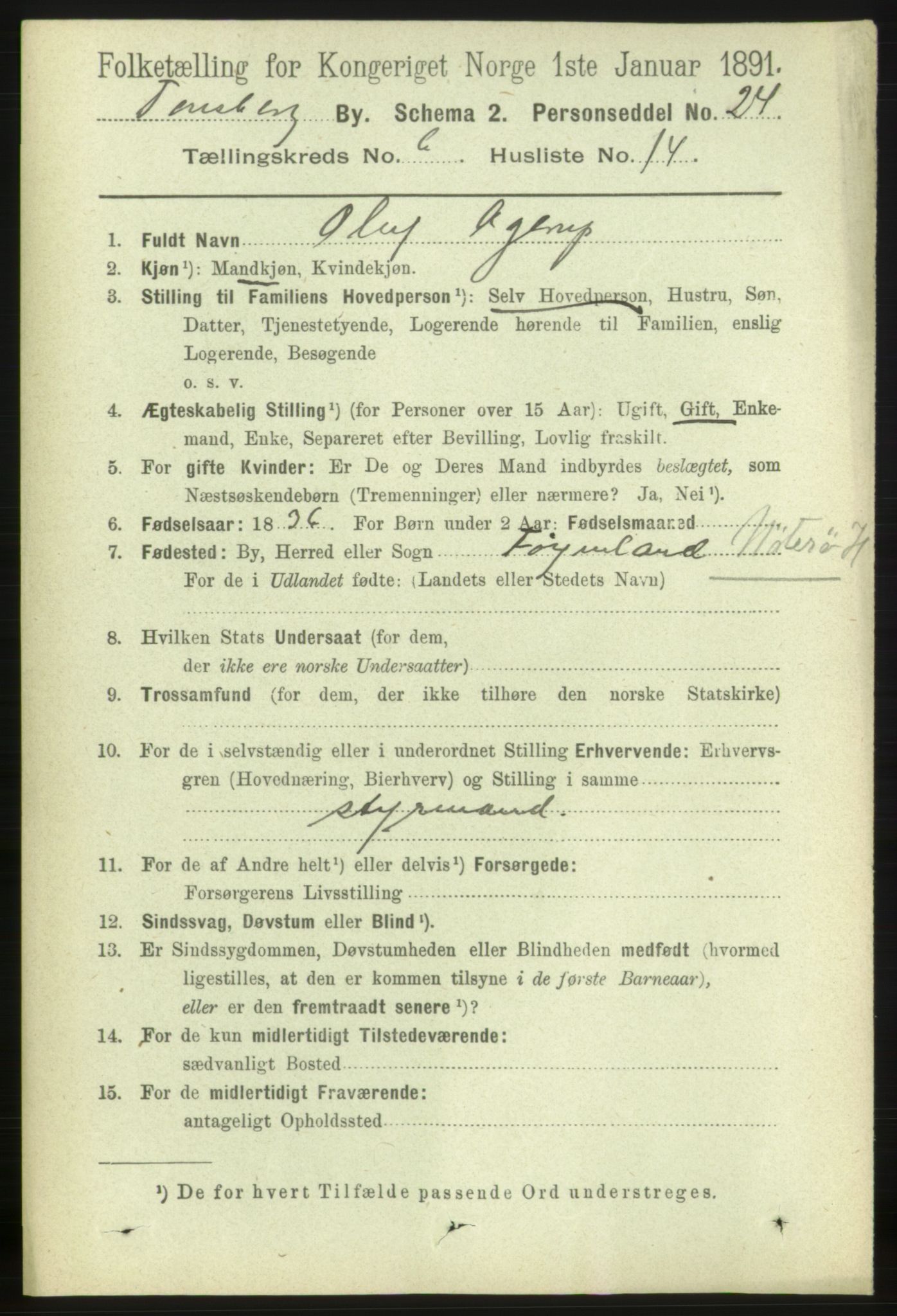 RA, 1891 census for 0705 Tønsberg, 1891, p. 2696