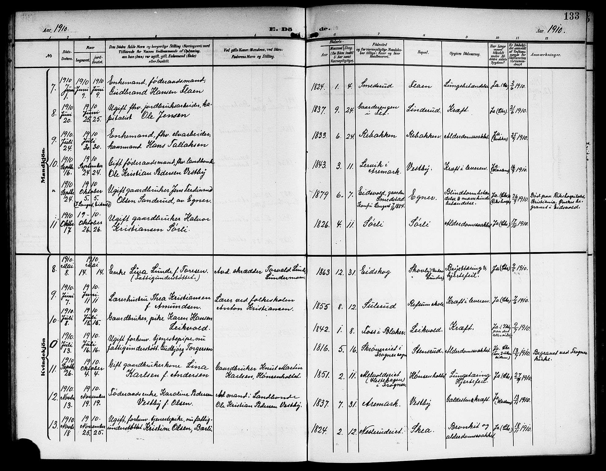 Sørum prestekontor Kirkebøker, AV/SAO-A-10303/G/Ga/L0007: Parish register (copy) no. I 7, 1907-1917, p. 133