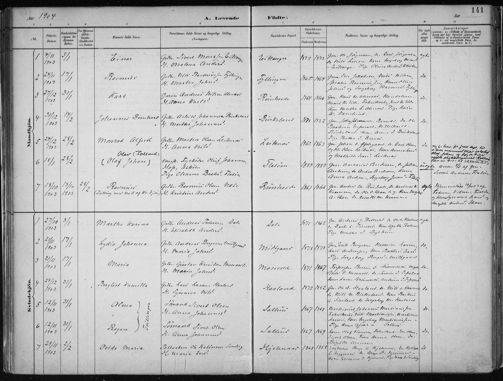 Hamre sokneprestembete, SAB/A-75501/H/Ha/Haa/Haab/L0001: Parish register (official) no. B  1, 1882-1905, p. 141