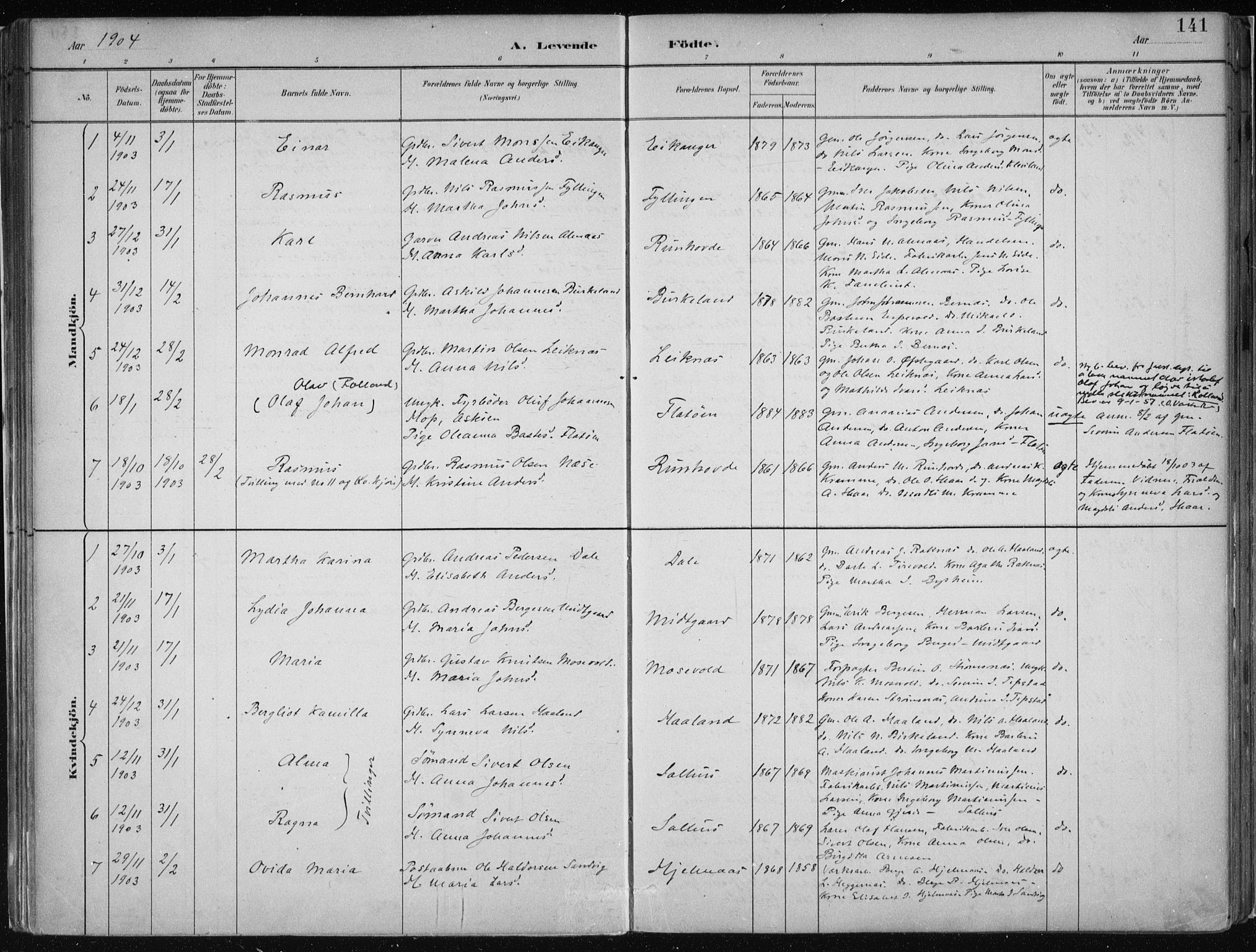 Hamre sokneprestembete, AV/SAB-A-75501/H/Ha/Haa/Haab/L0001: Parish register (official) no. B  1, 1882-1905, p. 141