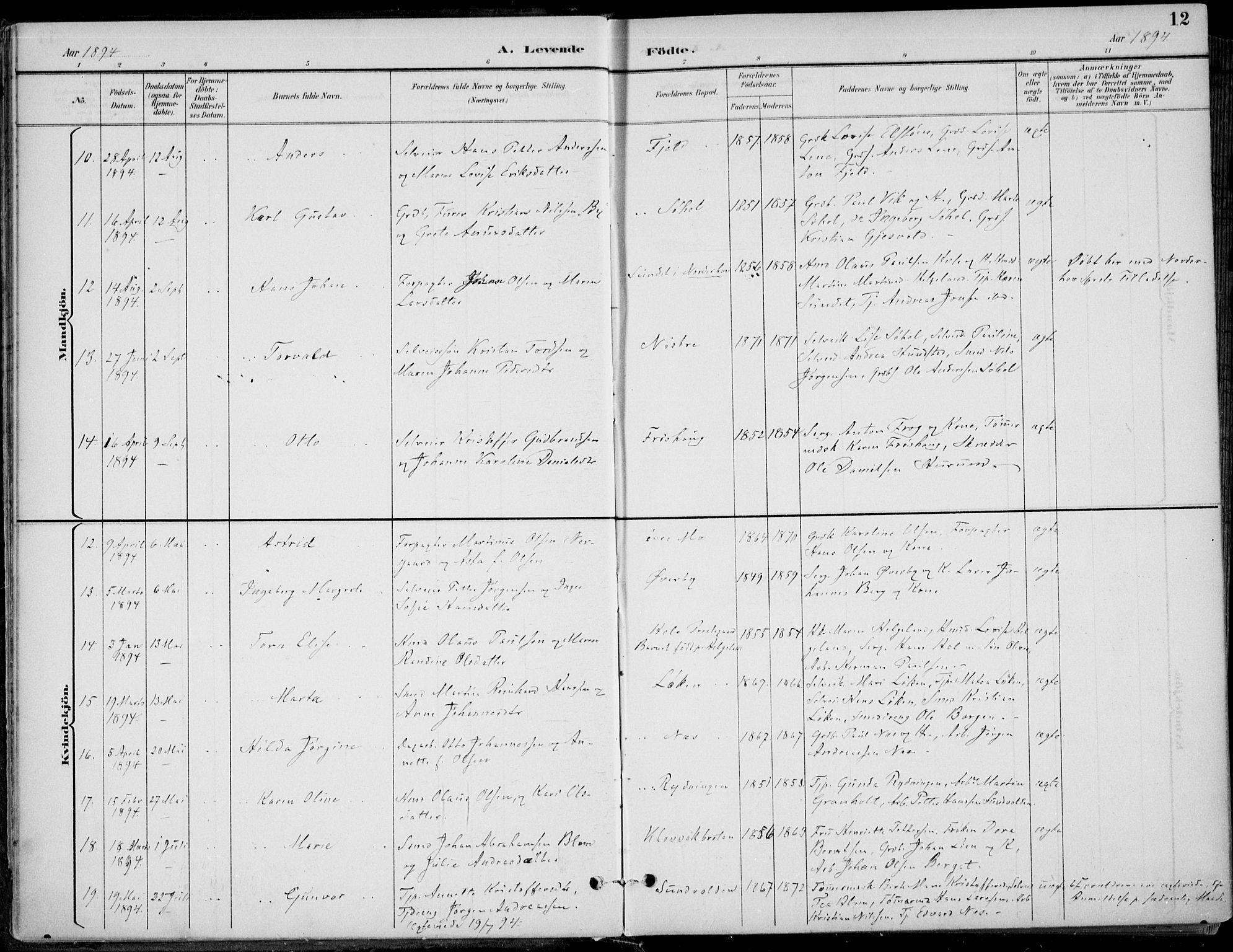 Hole kirkebøker, SAKO/A-228/F/Fa/L0009: Parish register (official) no. I 9, 1892-1907, p. 12
