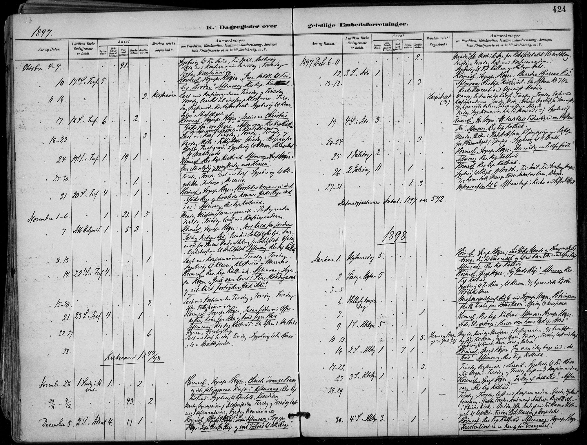 Skien kirkebøker, AV/SAKO-A-302/F/Fa/L0010: Parish register (official) no. 10, 1891-1899, p. 424