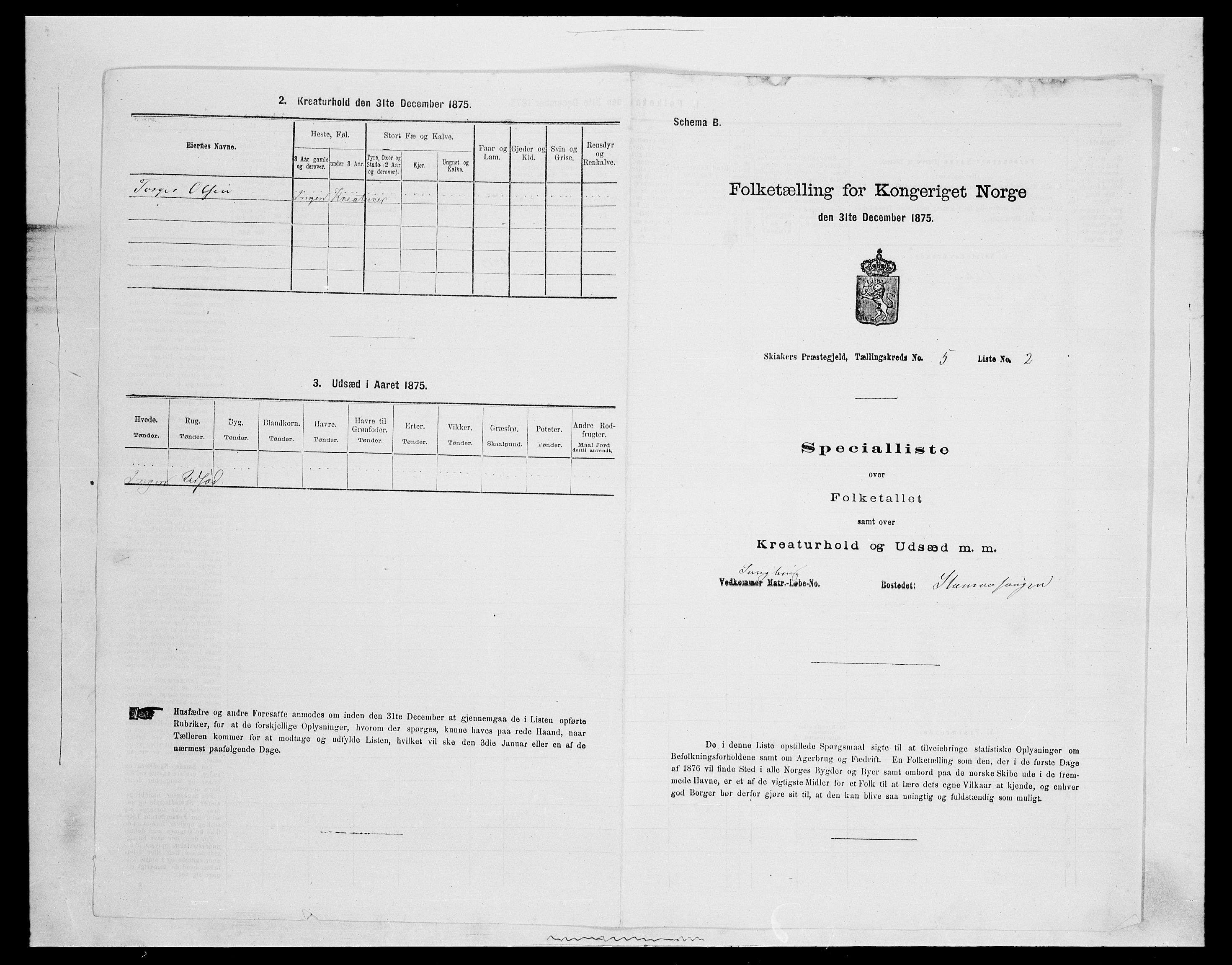 SAH, 1875 census for 0513P Skjåk, 1875, p. 717