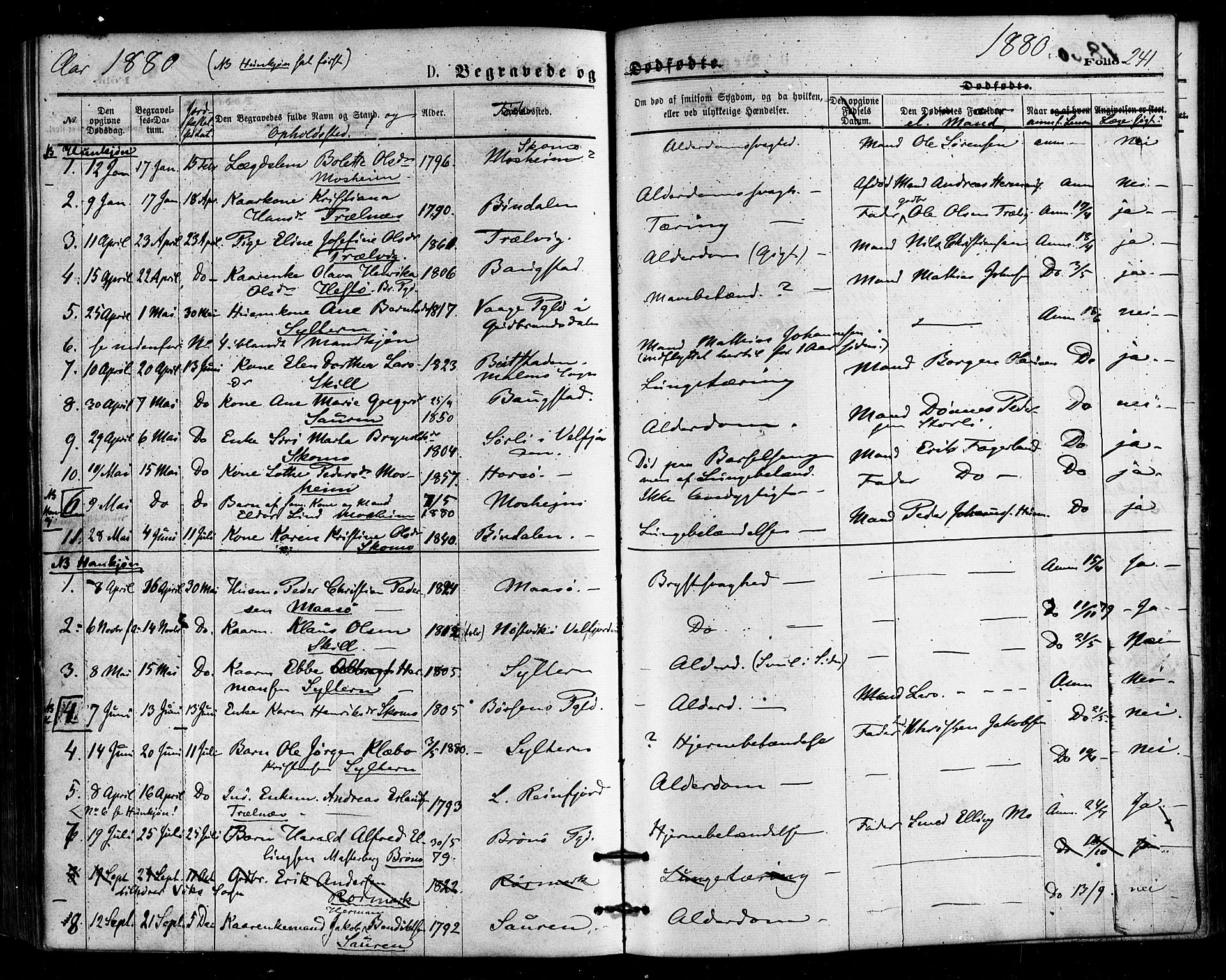 Ministerialprotokoller, klokkerbøker og fødselsregistre - Nordland, SAT/A-1459/813/L0199: Parish register (official) no. 813A09, 1875-1885, p. 241