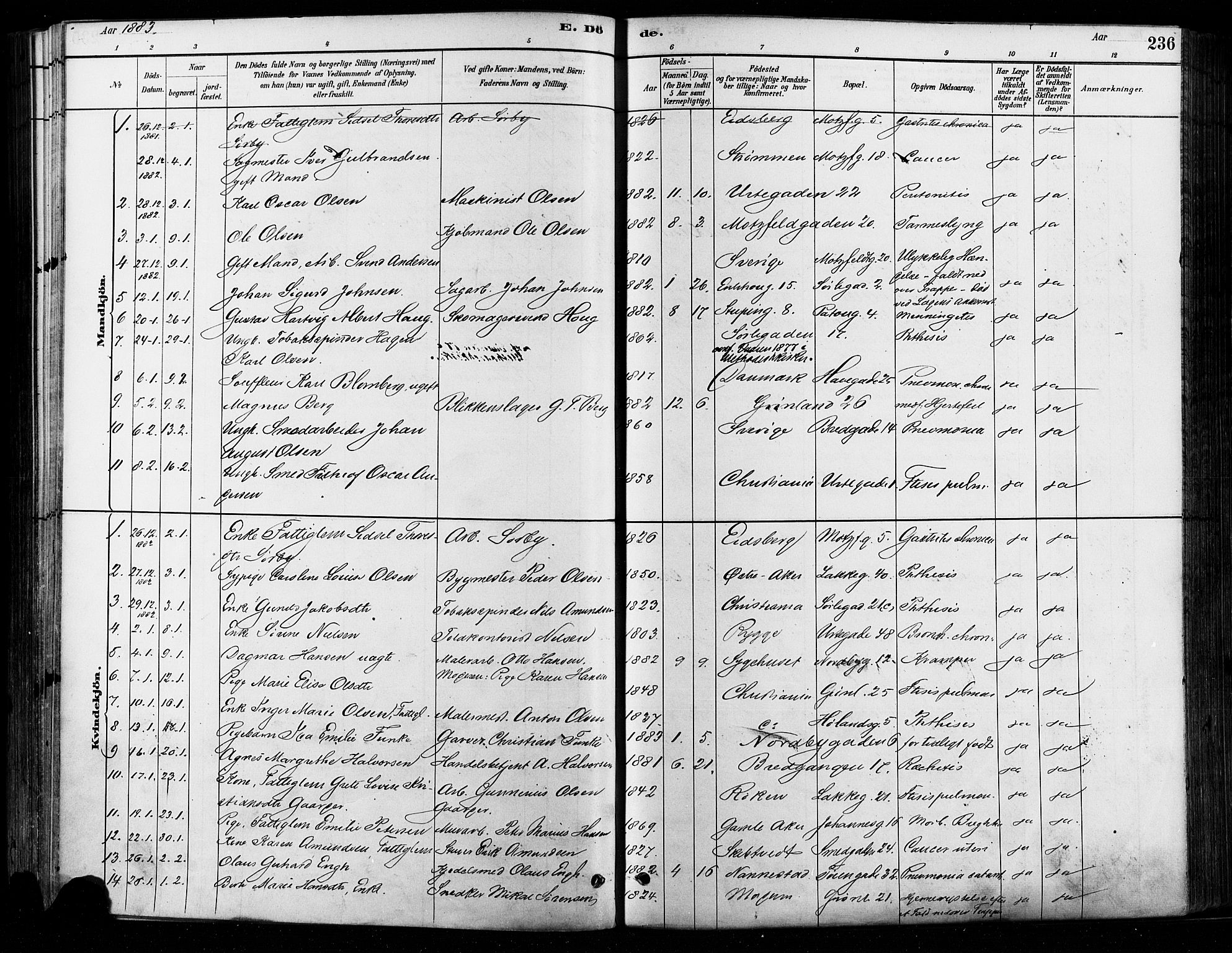 Grønland prestekontor Kirkebøker, SAO/A-10848/F/Fa/L0008: Parish register (official) no. 8, 1881-1893, p. 236