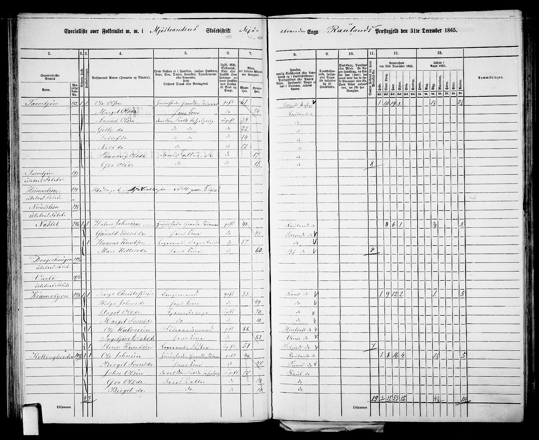 RA, 1865 census for Rauland, 1865, p. 53