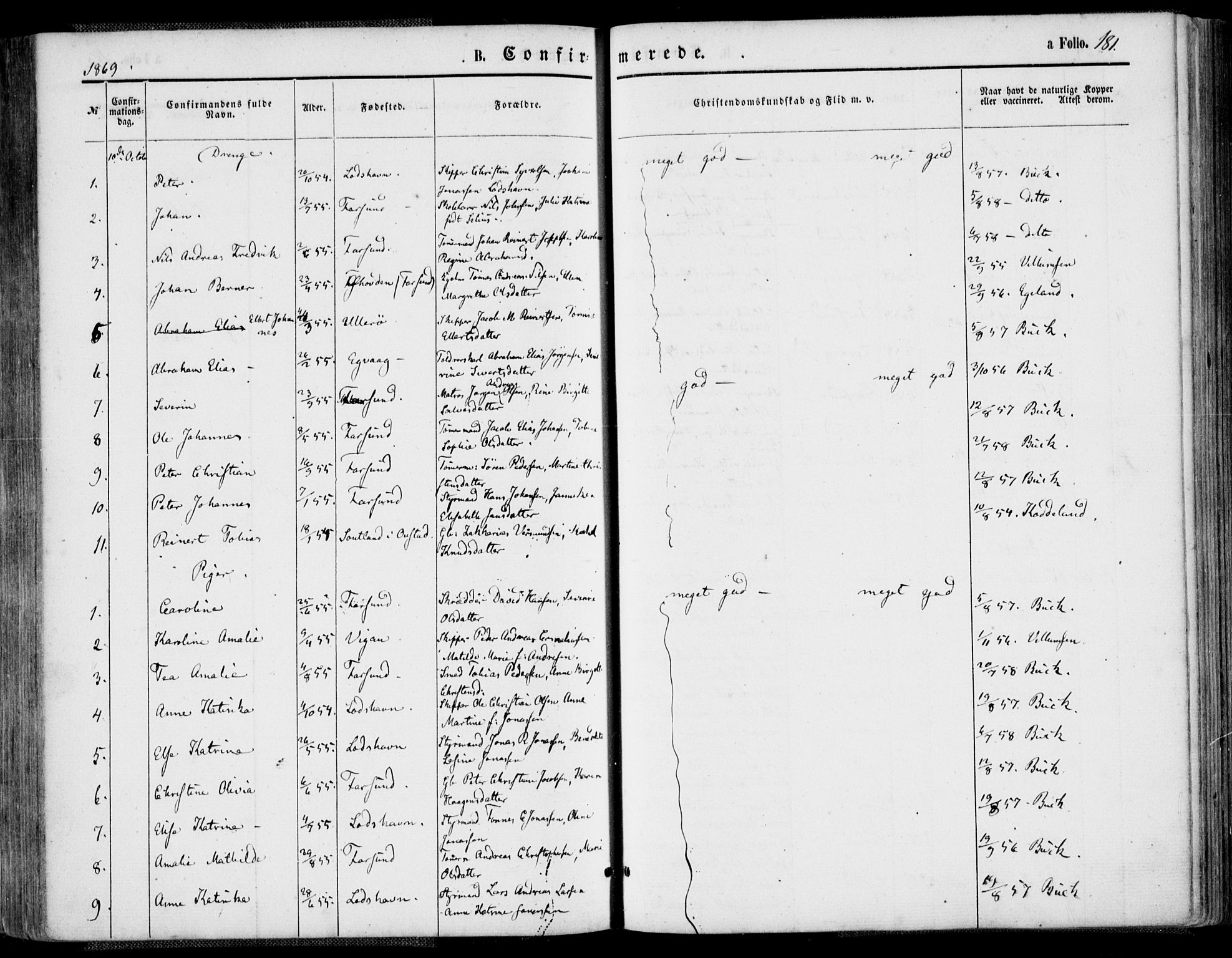 Farsund sokneprestkontor, SAK/1111-0009/F/Fa/L0005: Parish register (official) no. A 5, 1863-1886, p. 181