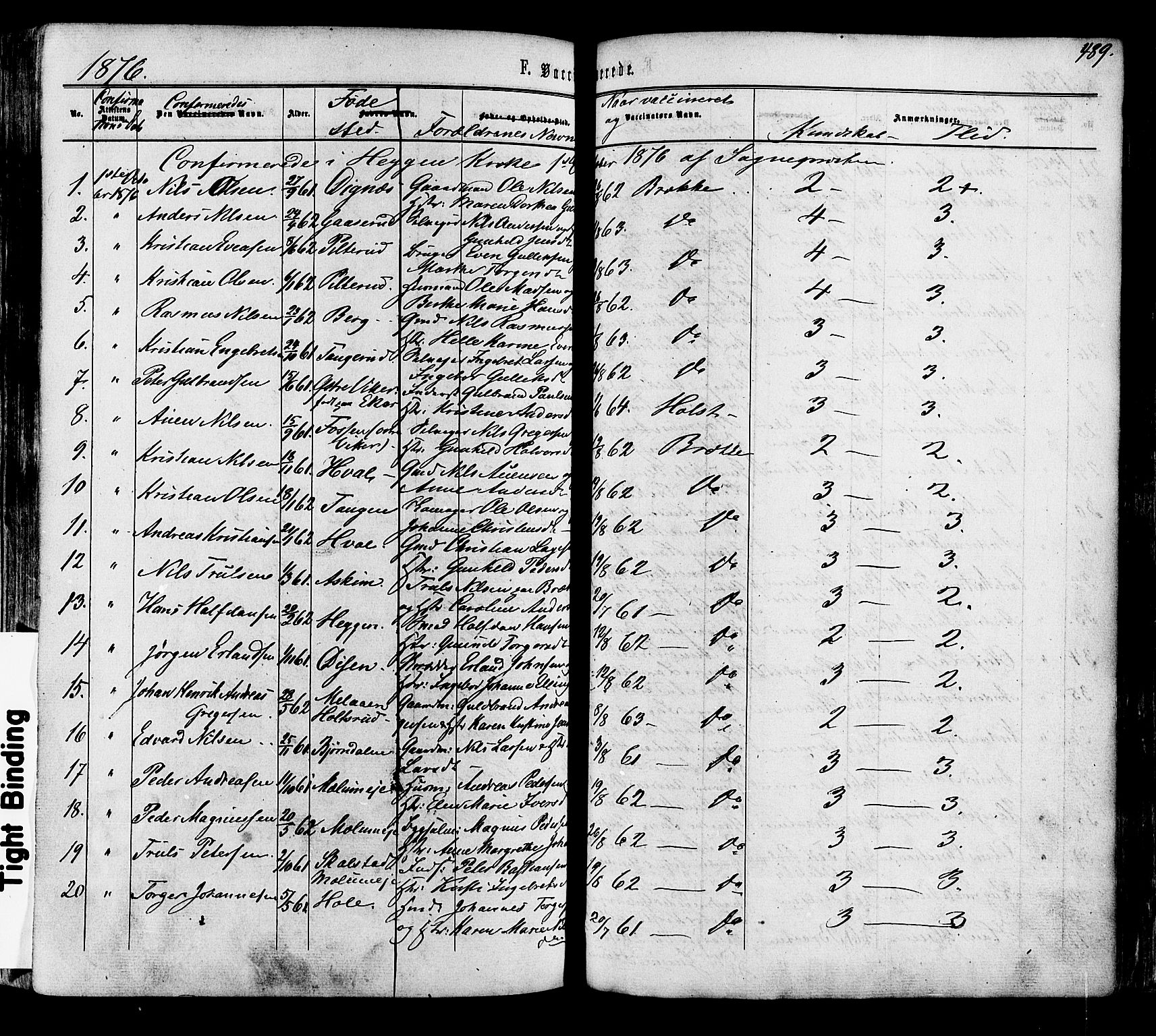 Modum kirkebøker, AV/SAKO-A-234/F/Fa/L0010: Parish register (official) no. 10, 1865-1876, p. 489