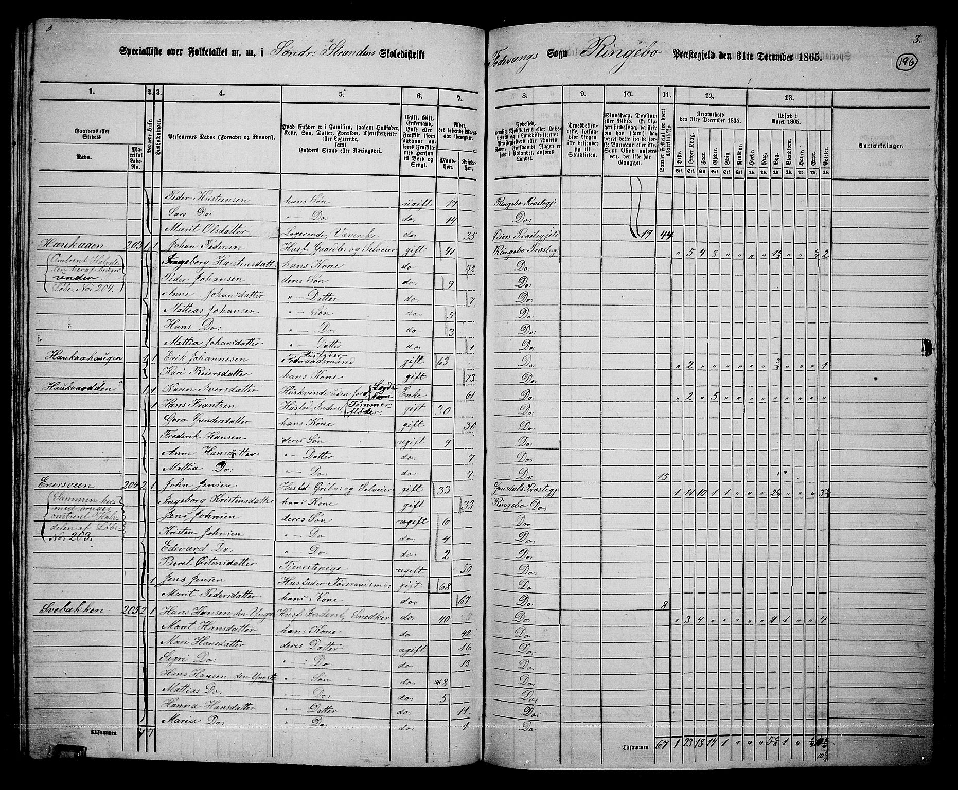 RA, 1865 census for Ringebu, 1865, p. 169