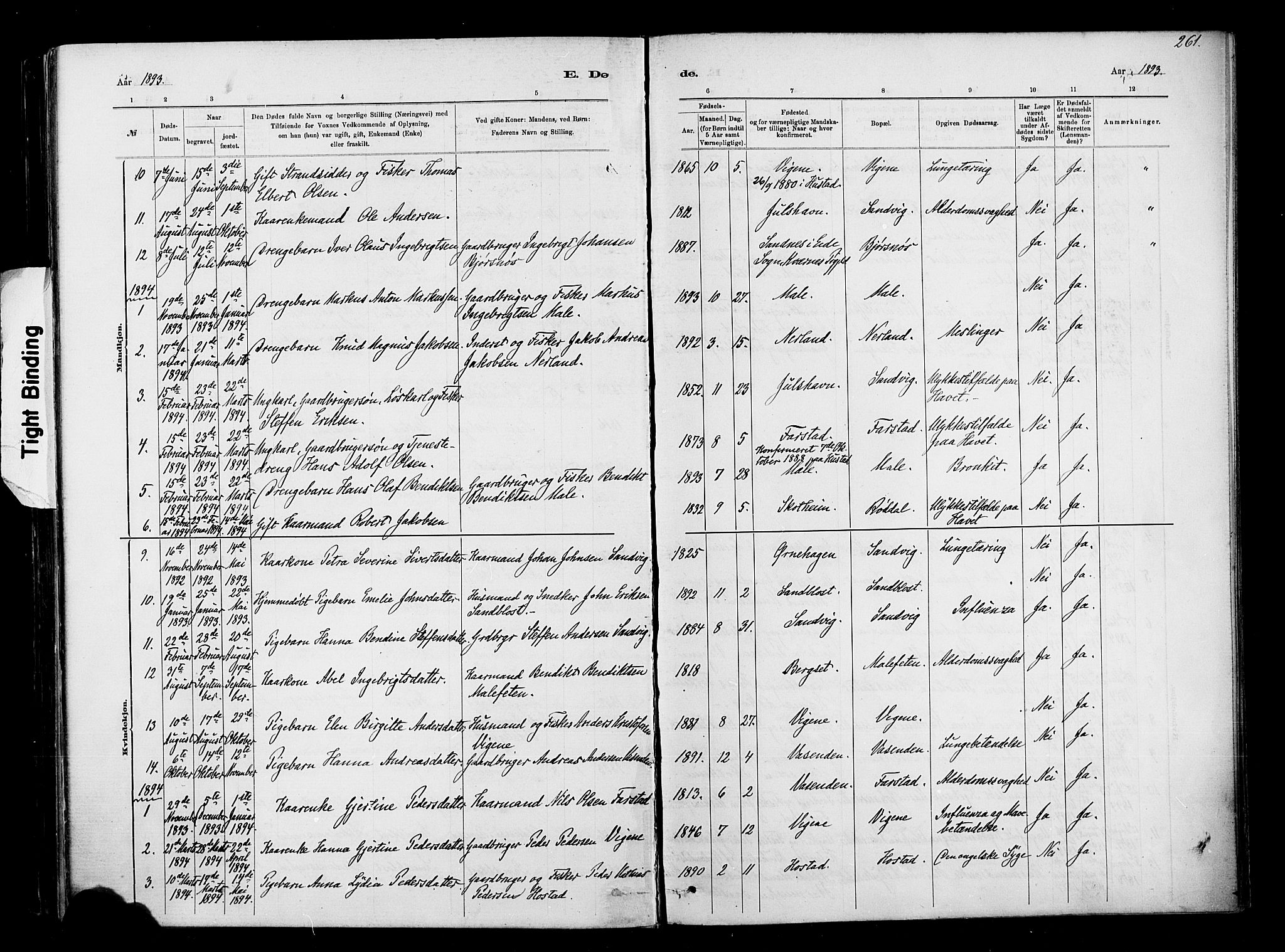 Ministerialprotokoller, klokkerbøker og fødselsregistre - Møre og Romsdal, AV/SAT-A-1454/567/L0778: Parish register (official) no. 567A01, 1881-1903, p. 261