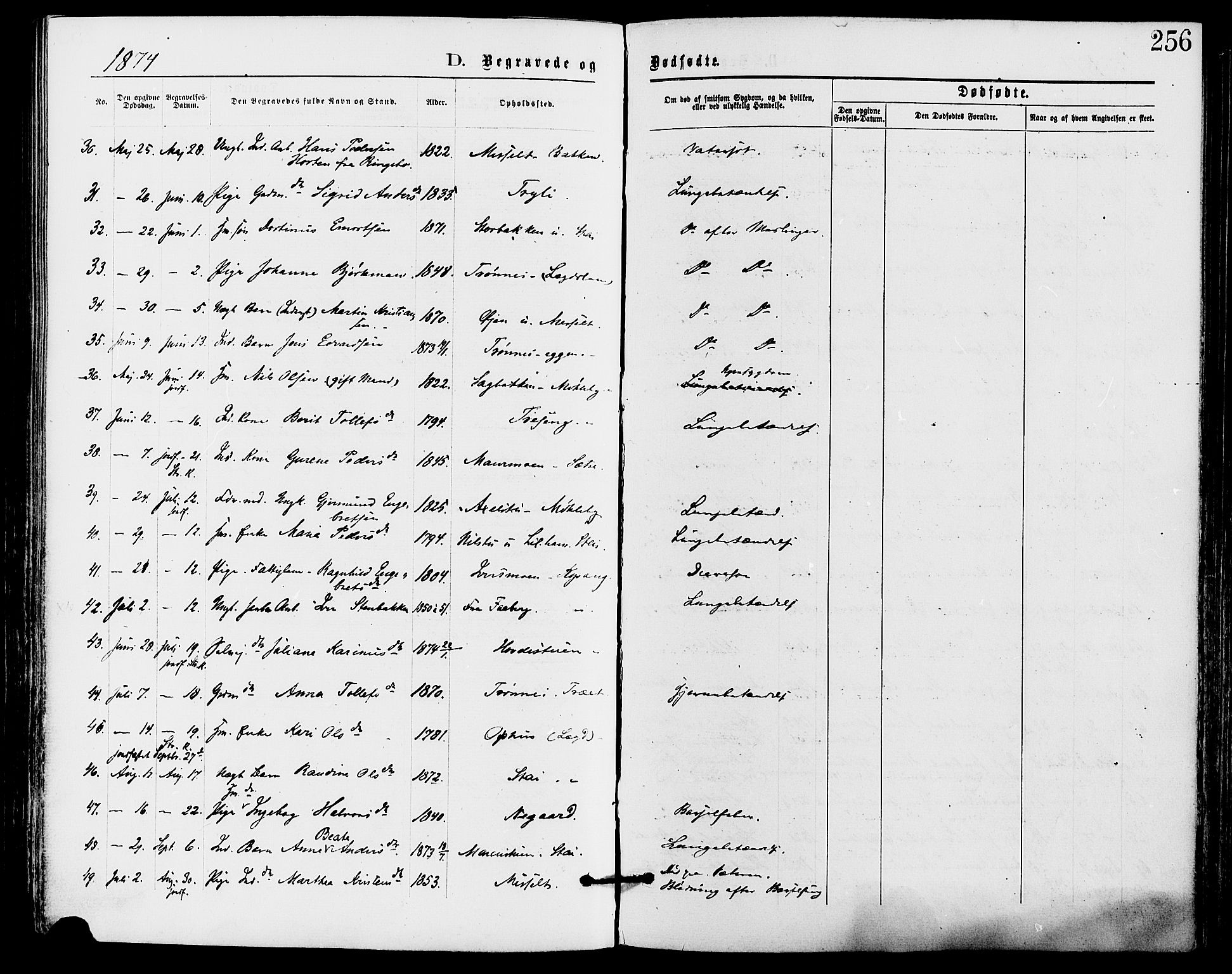Stor-Elvdal prestekontor, SAH/PREST-052/H/Ha/Haa/L0001: Parish register (official) no. 1, 1871-1882, p. 256