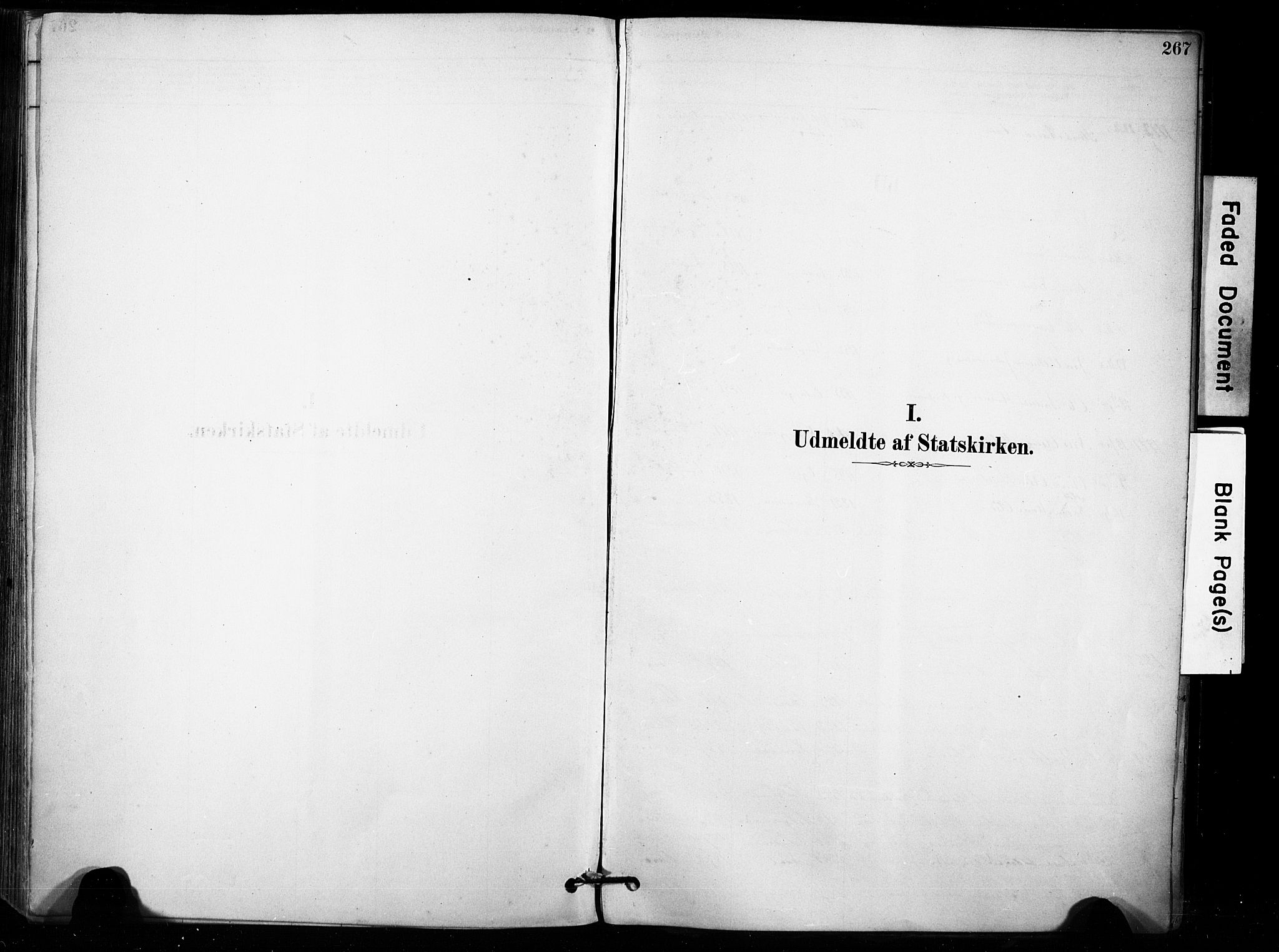 Brunlanes kirkebøker, AV/SAKO-A-342/F/Fb/L0001: Parish register (official) no. II 1, 1878-1899, p. 267