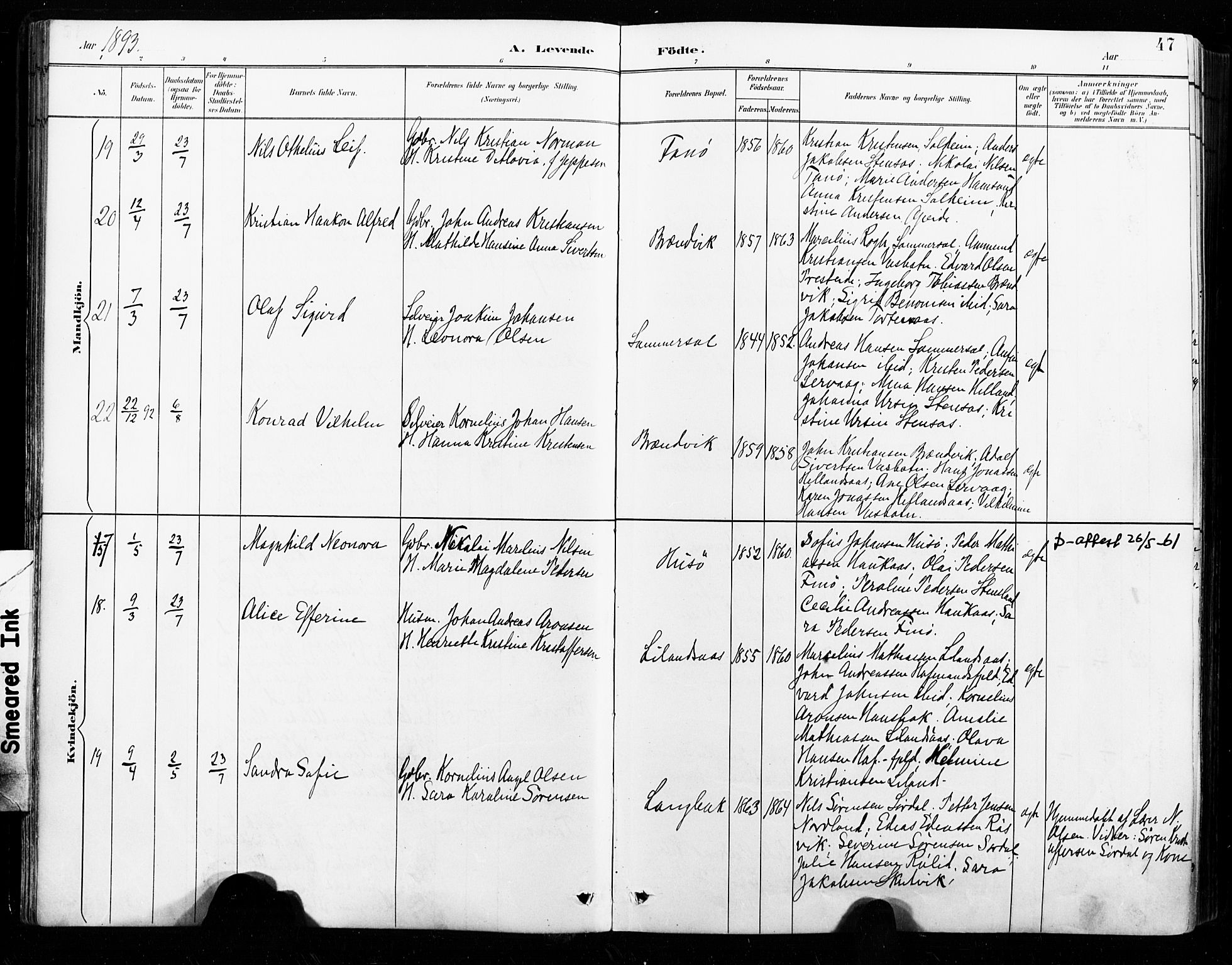 Ministerialprotokoller, klokkerbøker og fødselsregistre - Nordland, SAT/A-1459/859/L0847: Parish register (official) no. 859A07, 1890-1899, p. 47