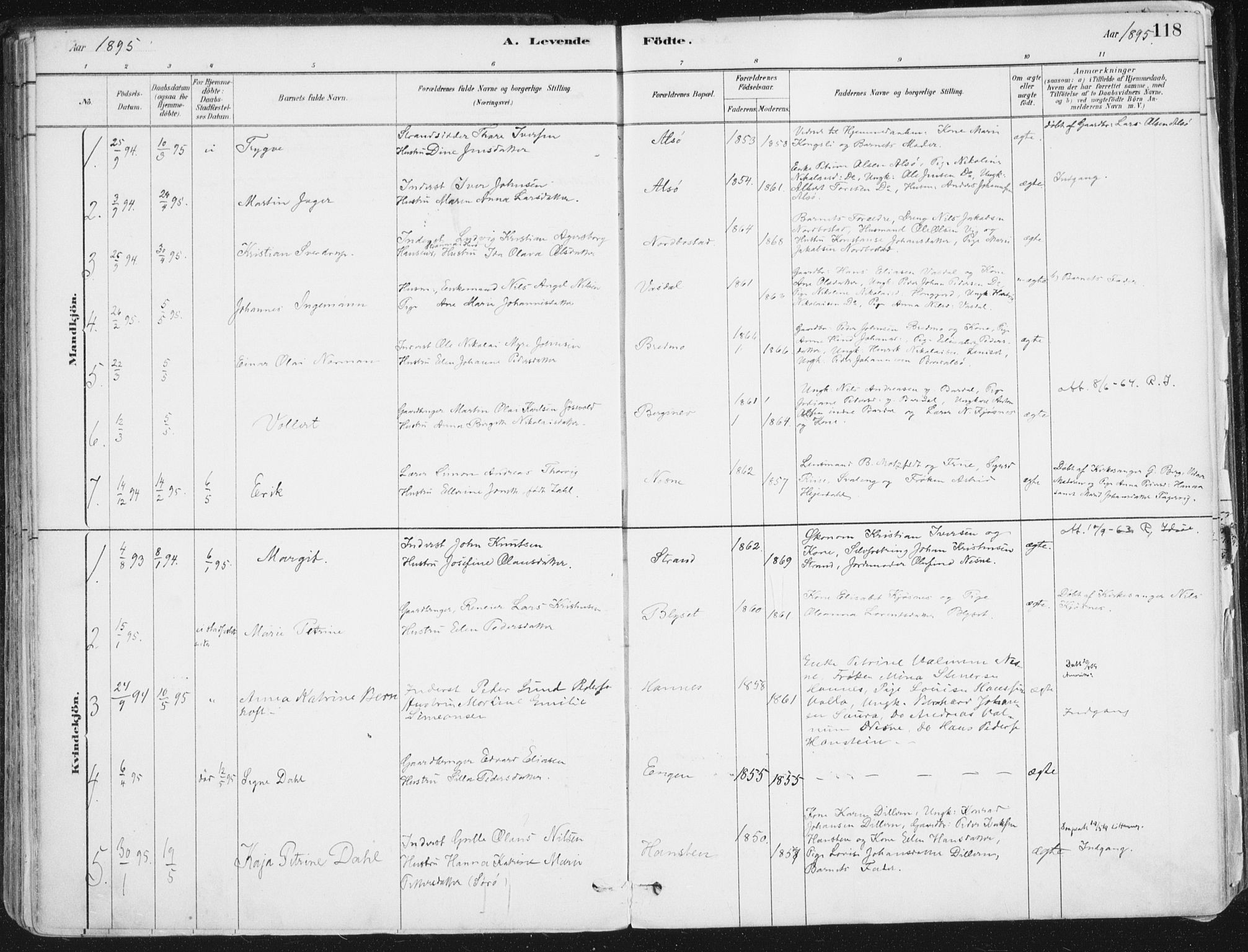 Ministerialprotokoller, klokkerbøker og fødselsregistre - Nordland, AV/SAT-A-1459/838/L0552: Parish register (official) no. 838A10, 1880-1910, p. 118