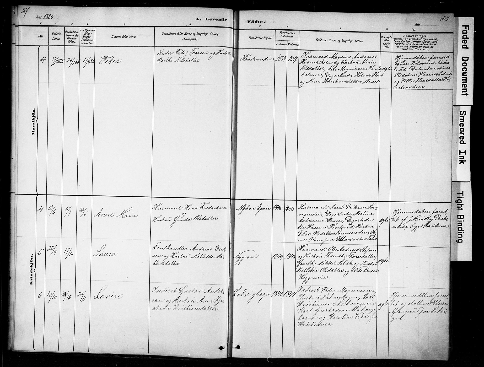 Nes prestekontor, Hedmark, AV/SAH-PREST-020/L/La/L0016: Parish register (copy) no. 16, 1883-1900, p. 27-28