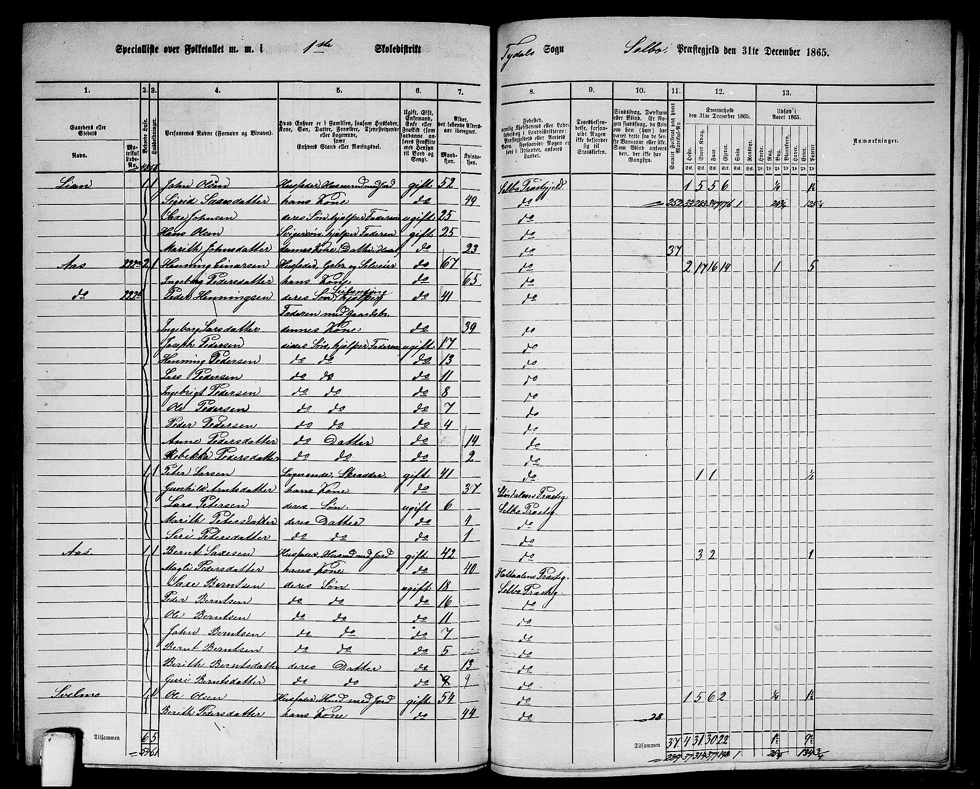 RA, 1865 census for Selbu, 1865, p. 232