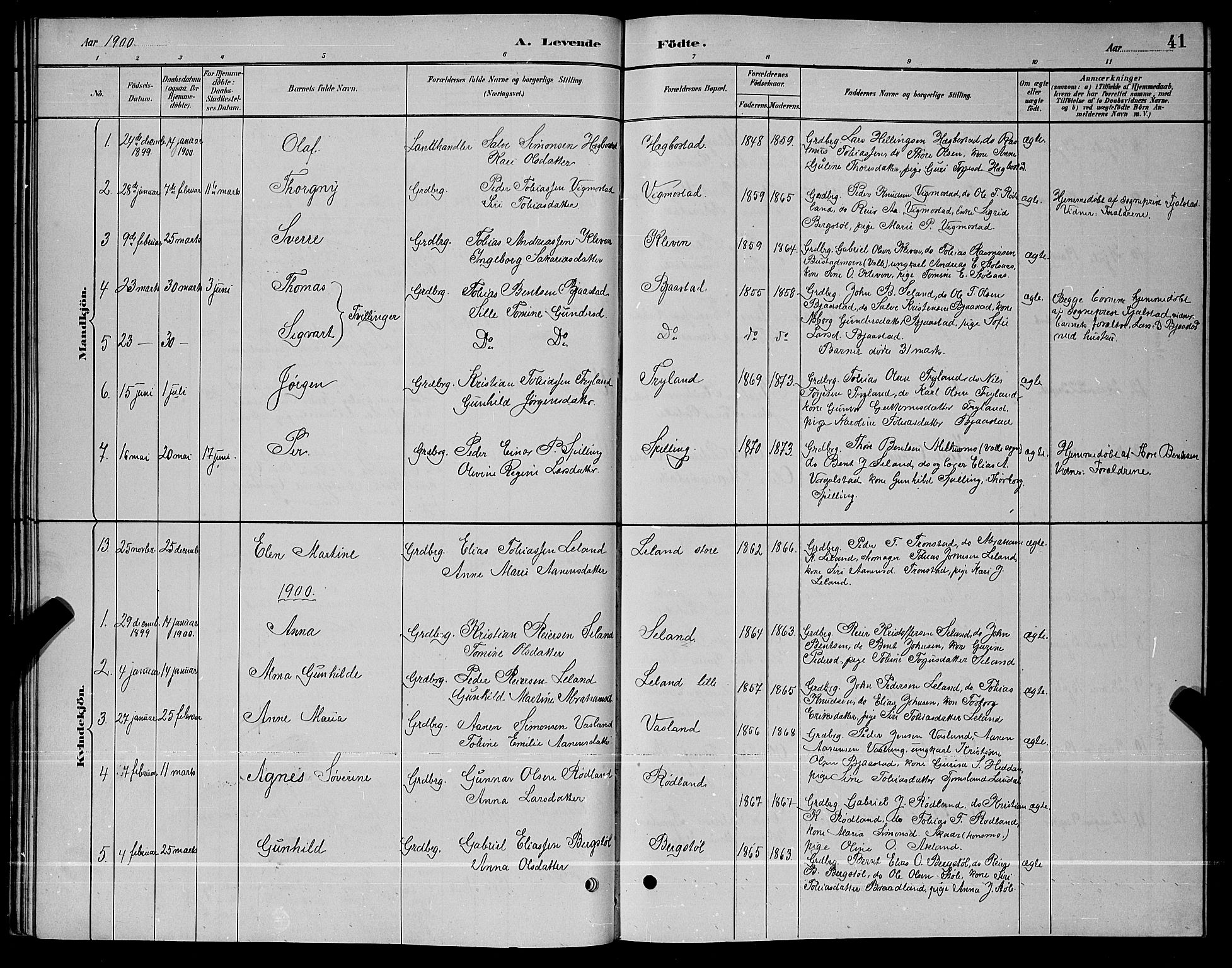Nord-Audnedal sokneprestkontor, SAK/1111-0032/F/Fb/Fbb/L0003: Parish register (copy) no. B 3, 1882-1900, p. 41