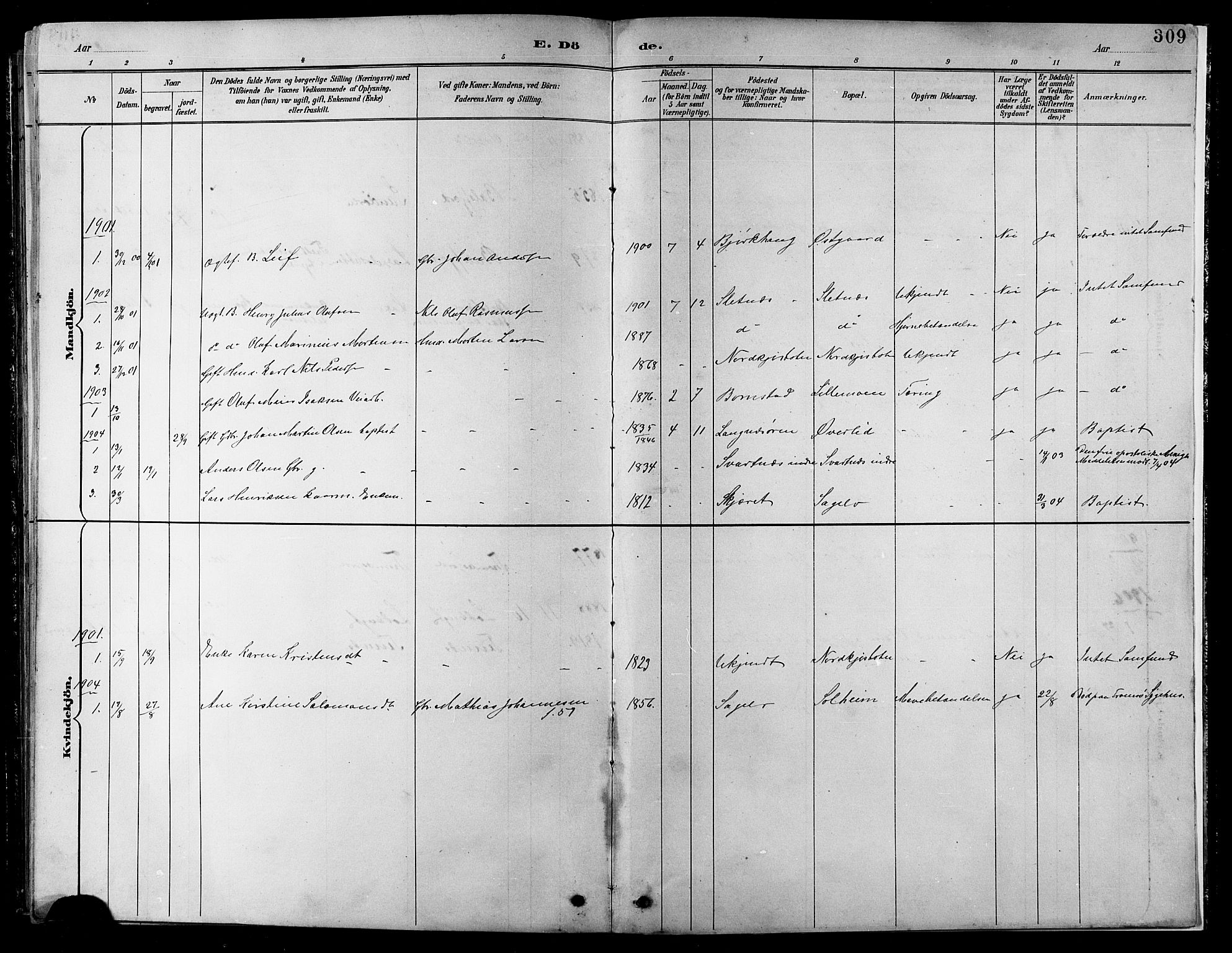 Balsfjord sokneprestembete, SATØ/S-1303/G/Ga/L0008klokker: Parish register (copy) no. 8, 1890-1906, p. 309