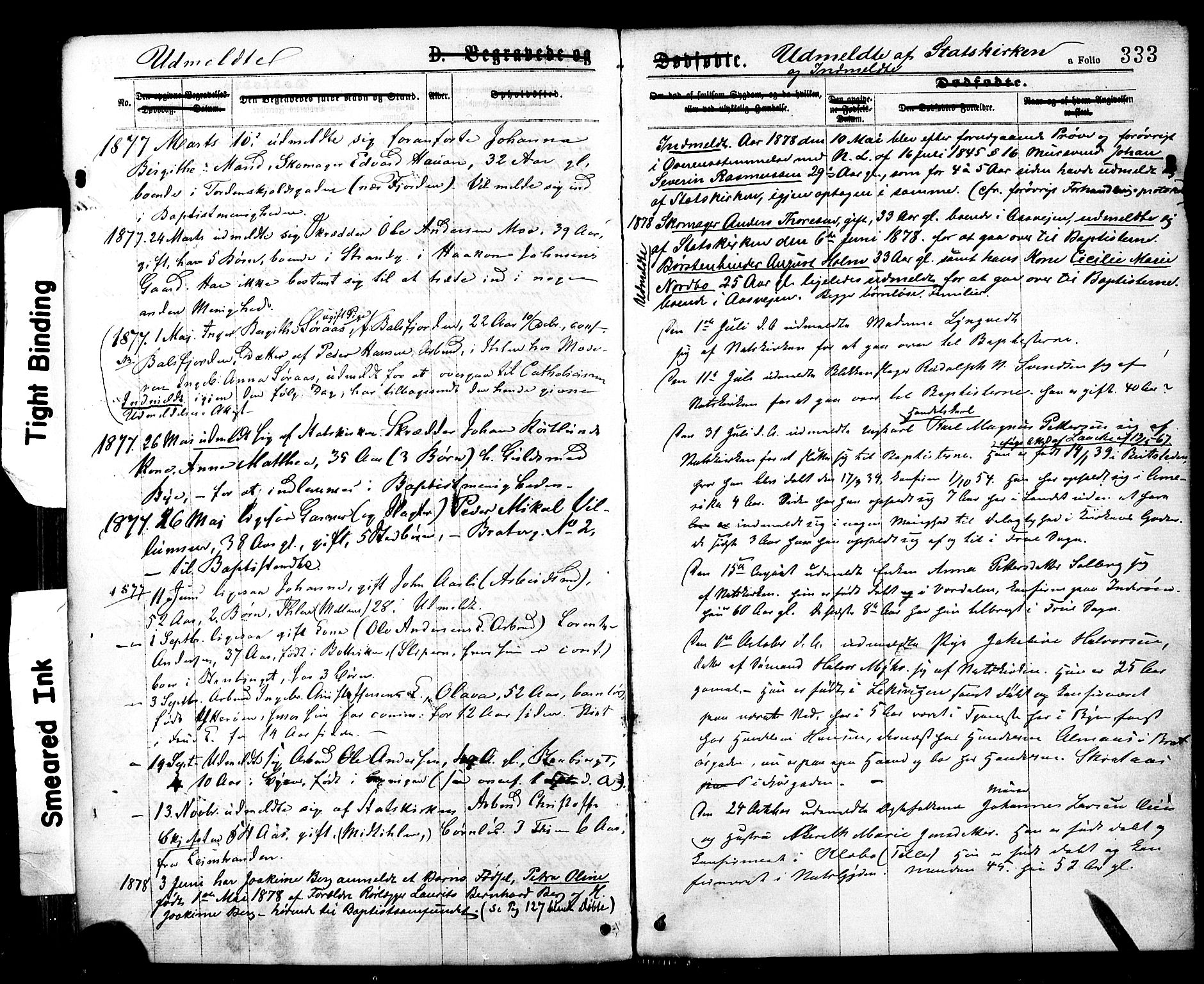 Ministerialprotokoller, klokkerbøker og fødselsregistre - Sør-Trøndelag, SAT/A-1456/602/L0118: Parish register (official) no. 602A16, 1873-1879, p. 333