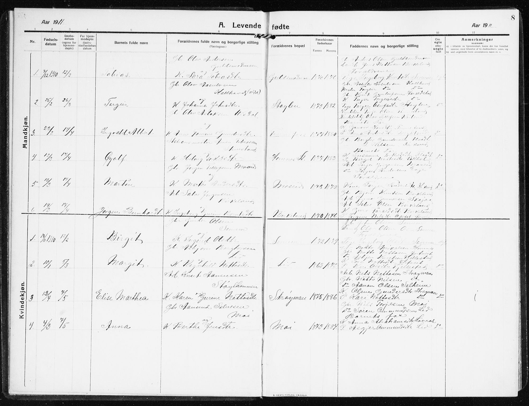 Evje sokneprestkontor, SAK/1111-0008/F/Fb/Fbb/L0003: Parish register (copy) no. B 3, 1910-1933, p. 8
