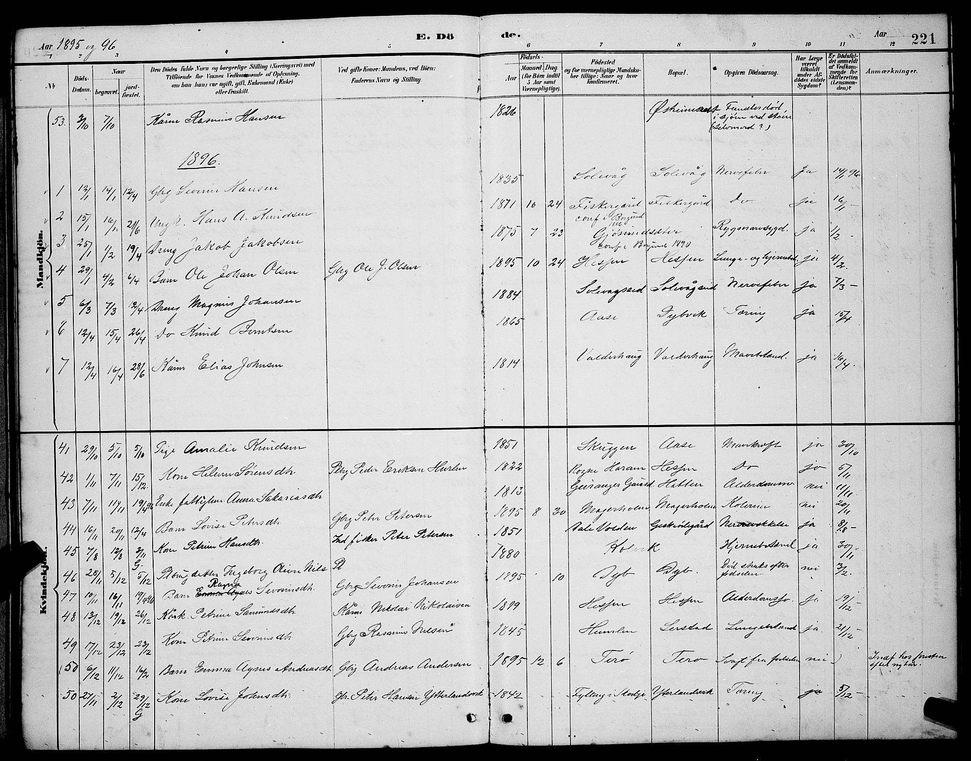 Ministerialprotokoller, klokkerbøker og fødselsregistre - Møre og Romsdal, AV/SAT-A-1454/528/L0430: Parish register (copy) no. 528C11, 1884-1899, p. 221