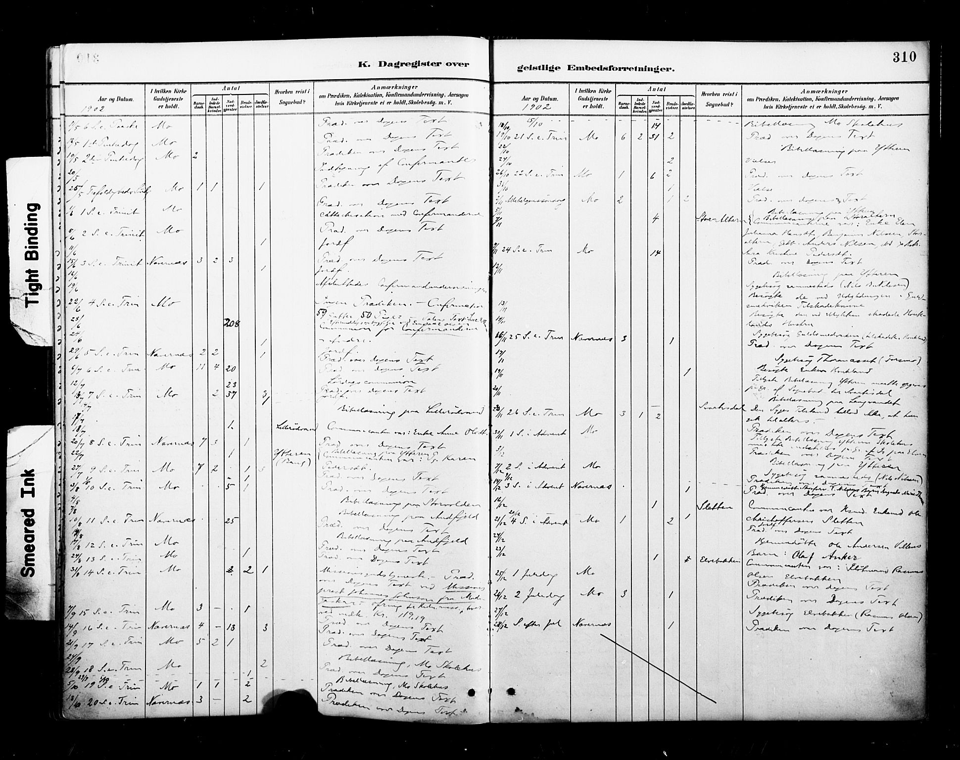 Ministerialprotokoller, klokkerbøker og fødselsregistre - Nordland, AV/SAT-A-1459/827/L0401: Parish register (official) no. 827A13, 1887-1905, p. 310