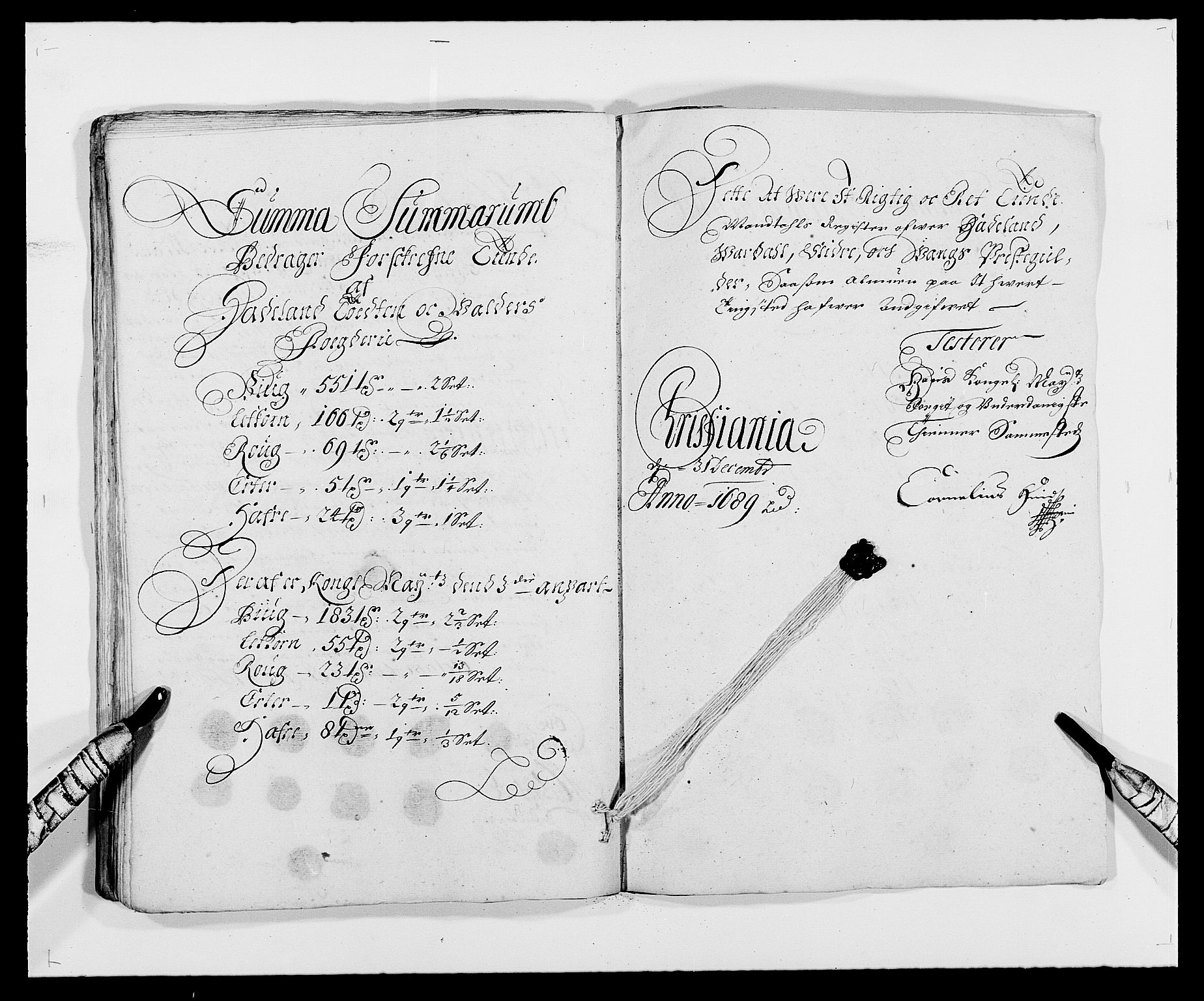 Rentekammeret inntil 1814, Reviderte regnskaper, Fogderegnskap, RA/EA-4092/R18/L1288: Fogderegnskap Hadeland, Toten og Valdres, 1689, p. 54