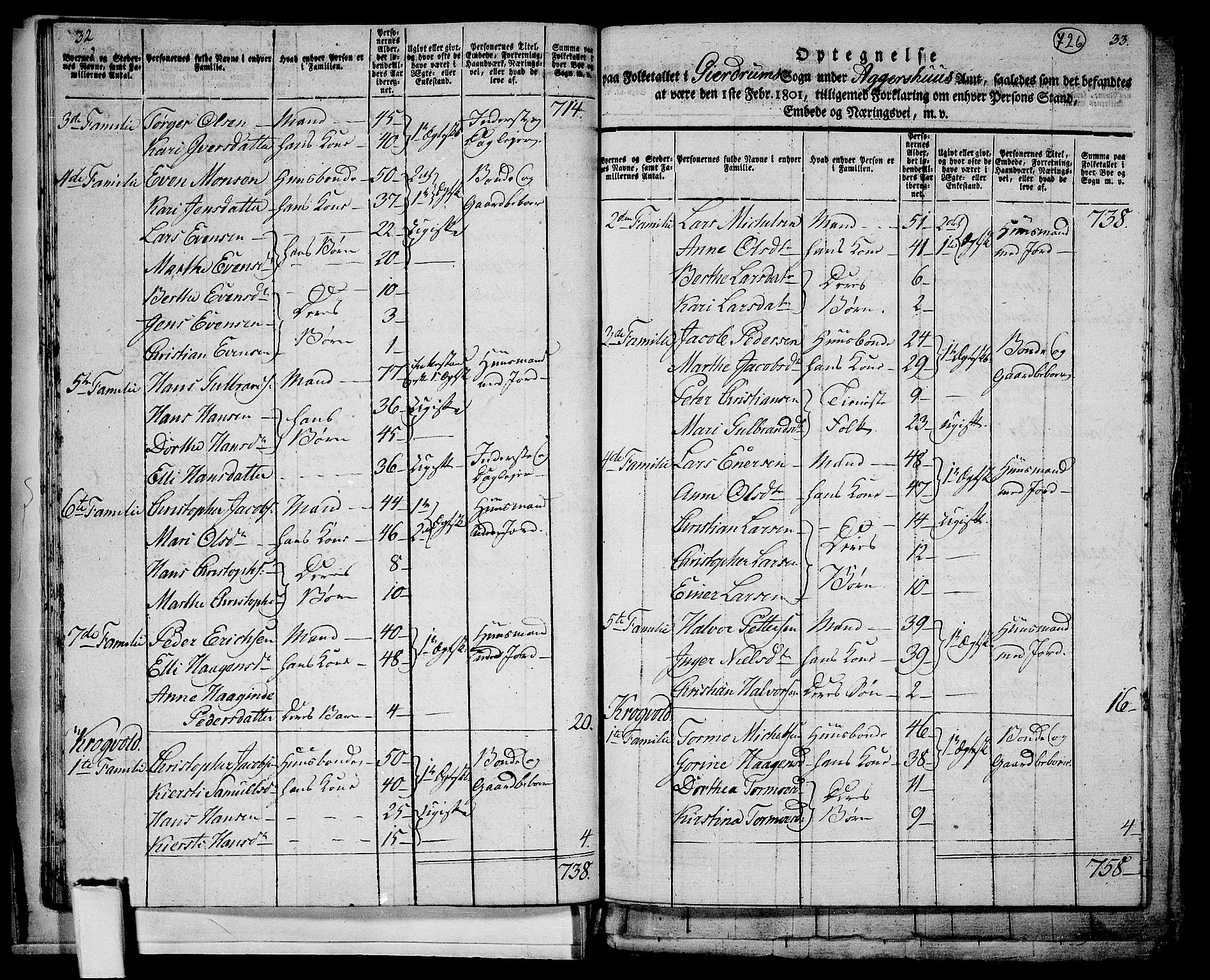 RA, 1801 census for 0234P Gjerdrum, 1801, p. 725b-726a