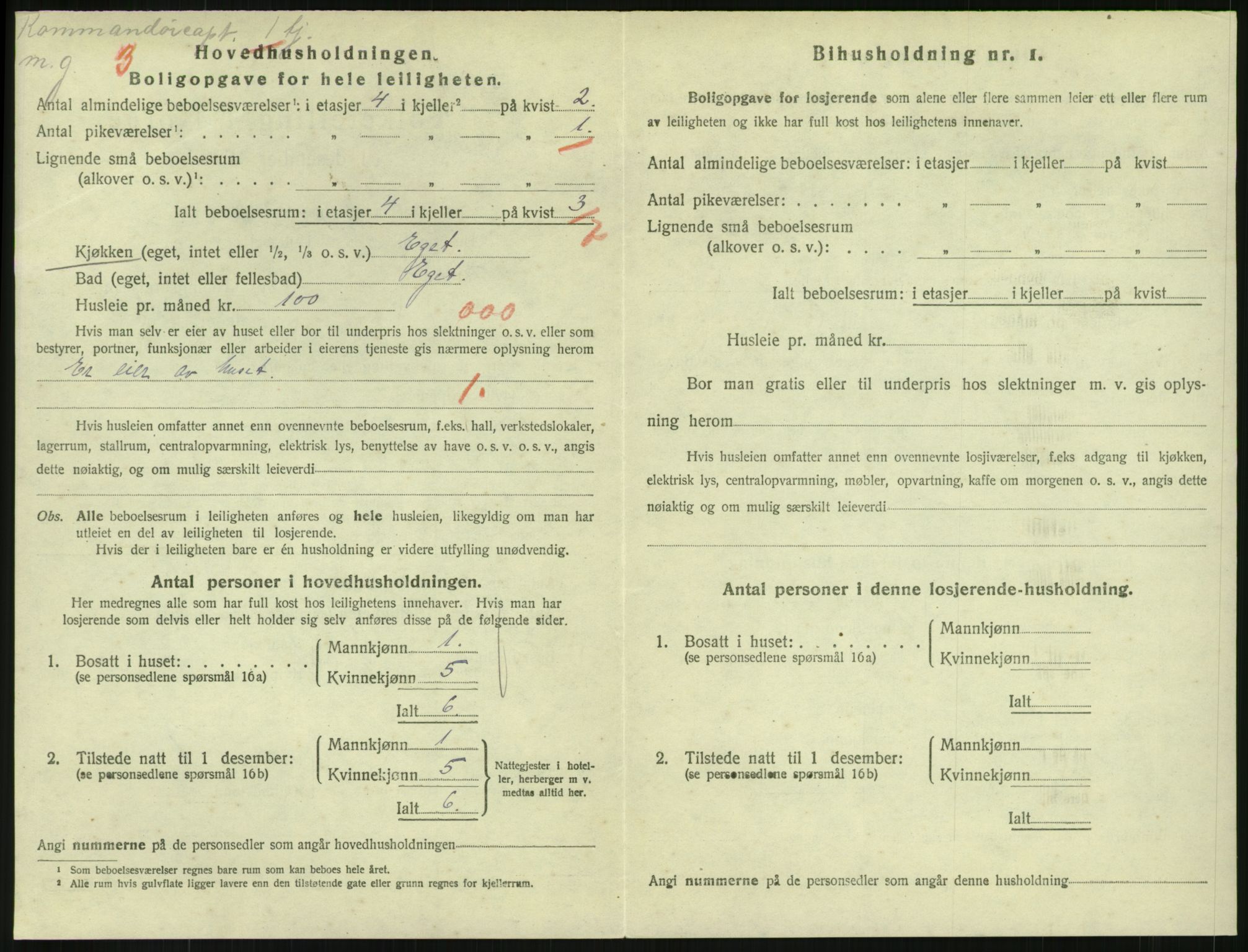 SAKO, 1920 census for Horten, 1920, p. 4518