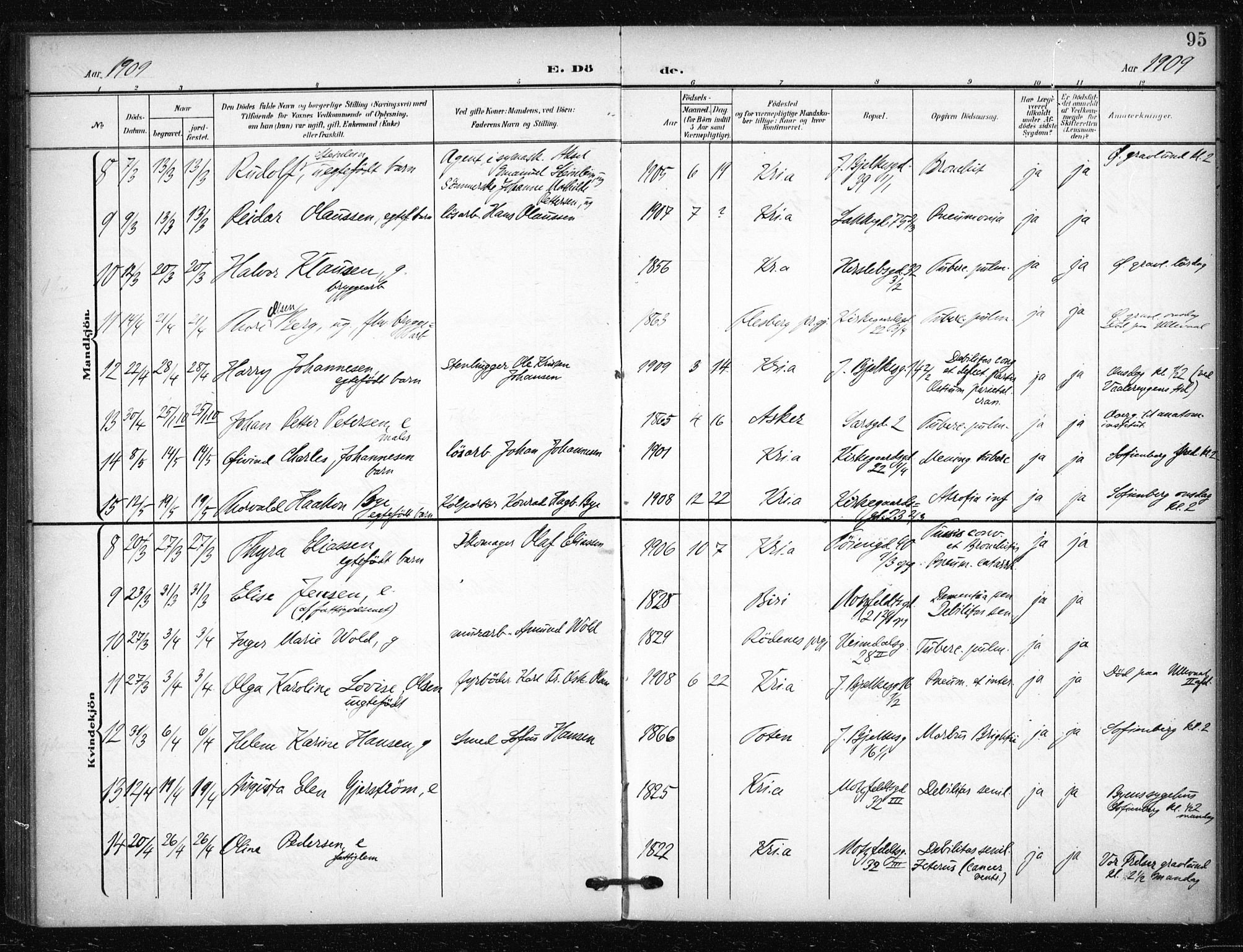 Tøyen prestekontor Kirkebøker, AV/SAO-A-10167a/F/Fa/L0002: Parish register (official) no. I 2, 1907-1916, p. 95