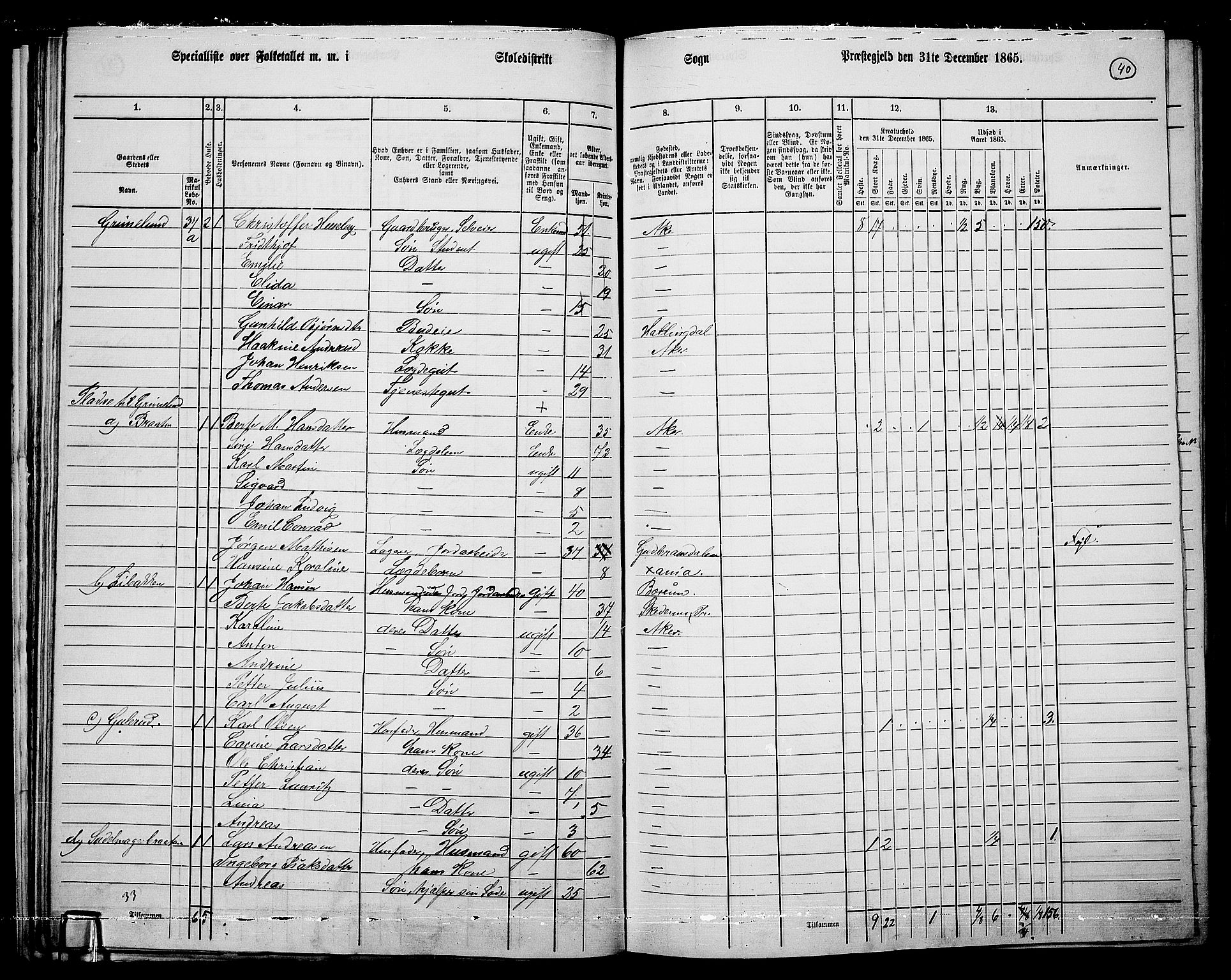 RA, 1865 census for Vestre Aker, 1865, p. 37