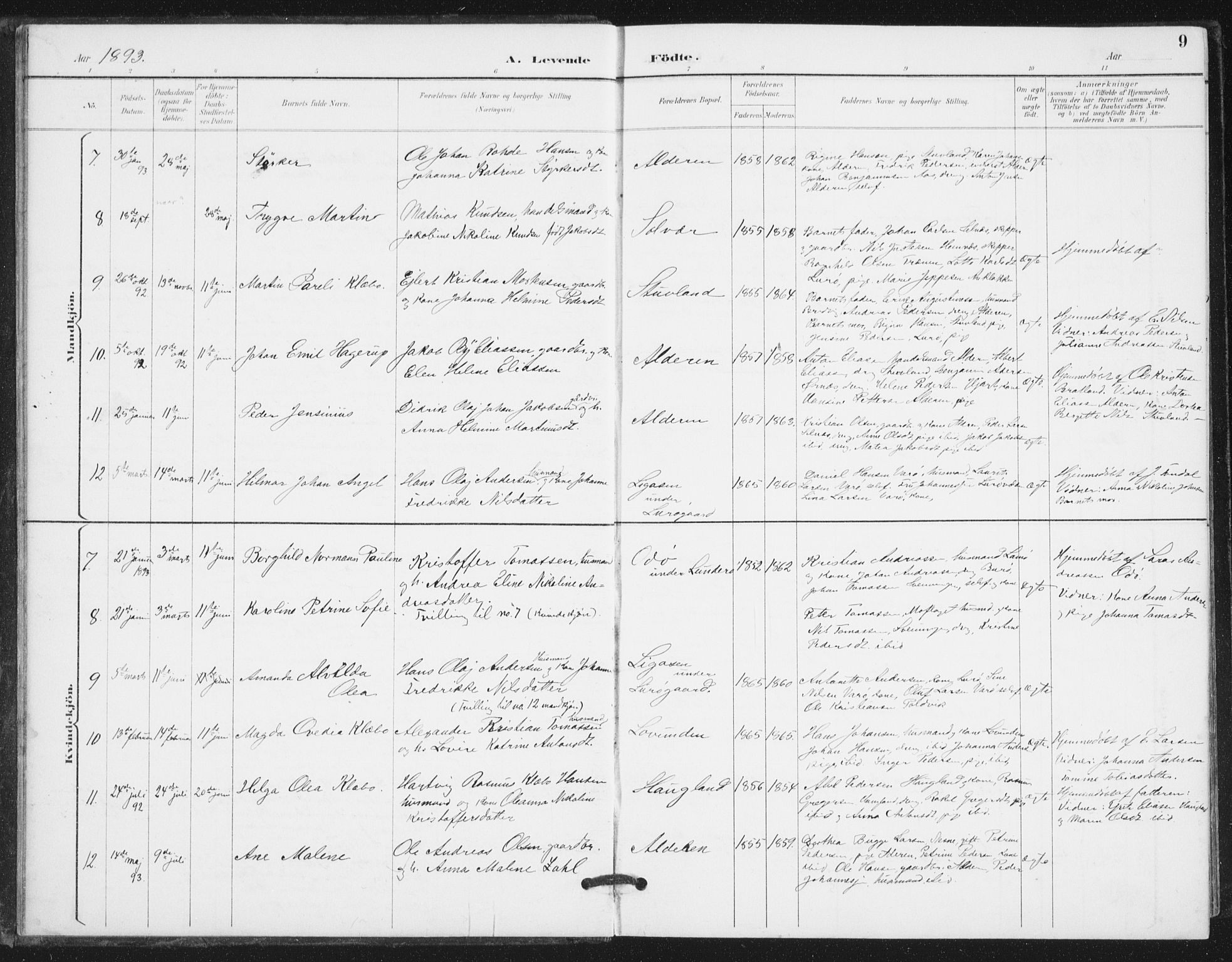 Ministerialprotokoller, klokkerbøker og fødselsregistre - Nordland, AV/SAT-A-1459/839/L0573: Parish register (copy) no. 839C03, 1892-1917, p. 9