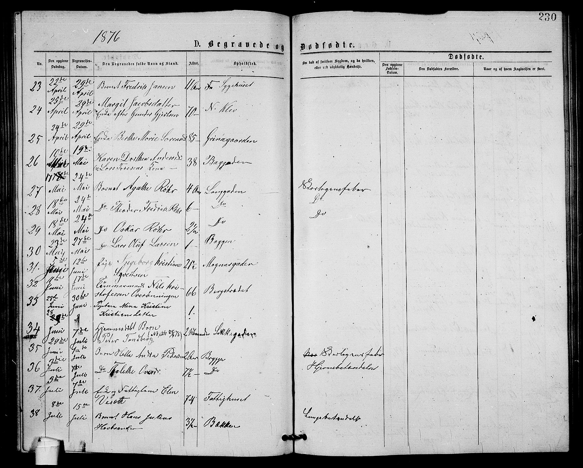 Holmestrand kirkebøker, AV/SAKO-A-346/G/Ga/L0004: Parish register (copy) no. 4, 1874-1888, p. 230